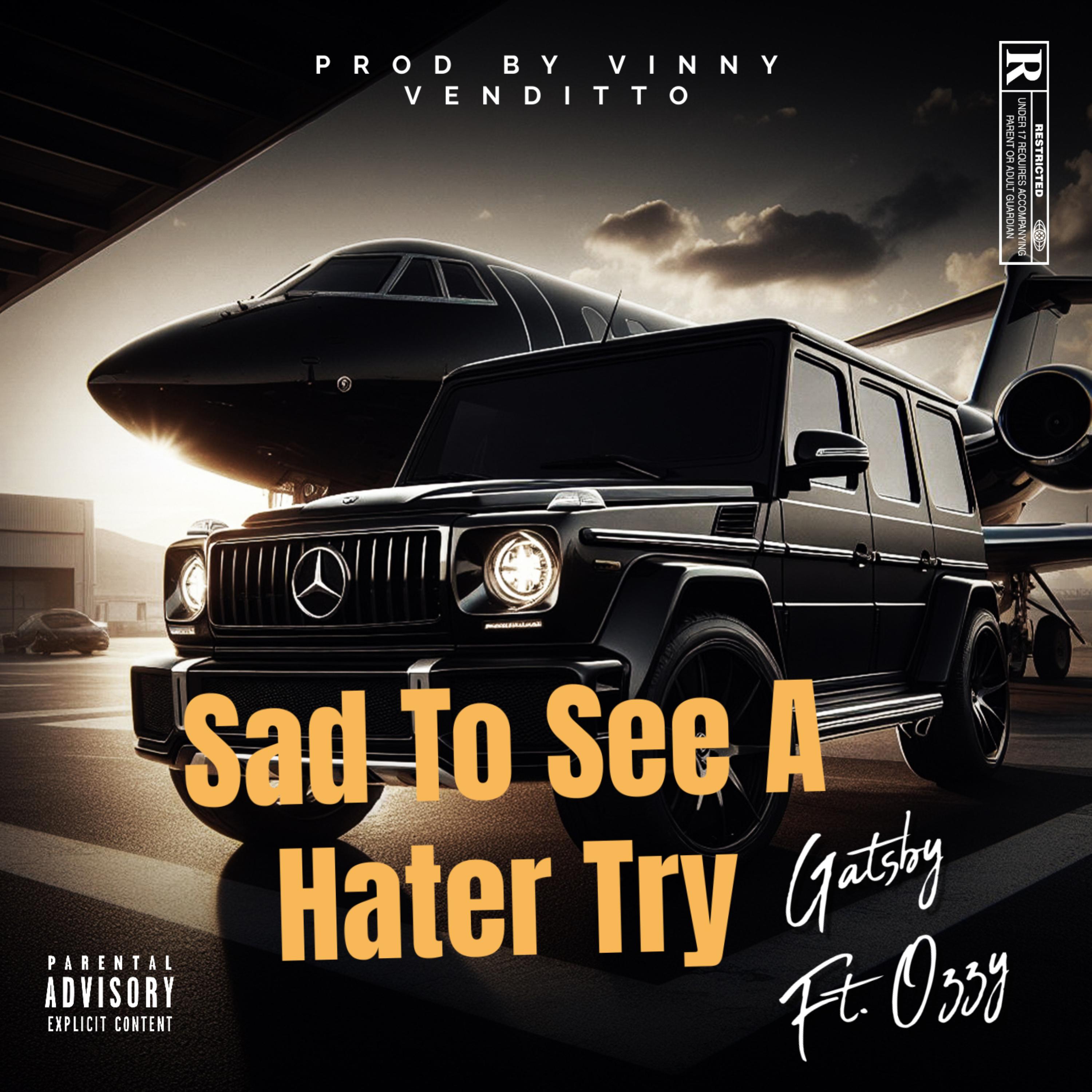 Sad to See A Hater Try artwork