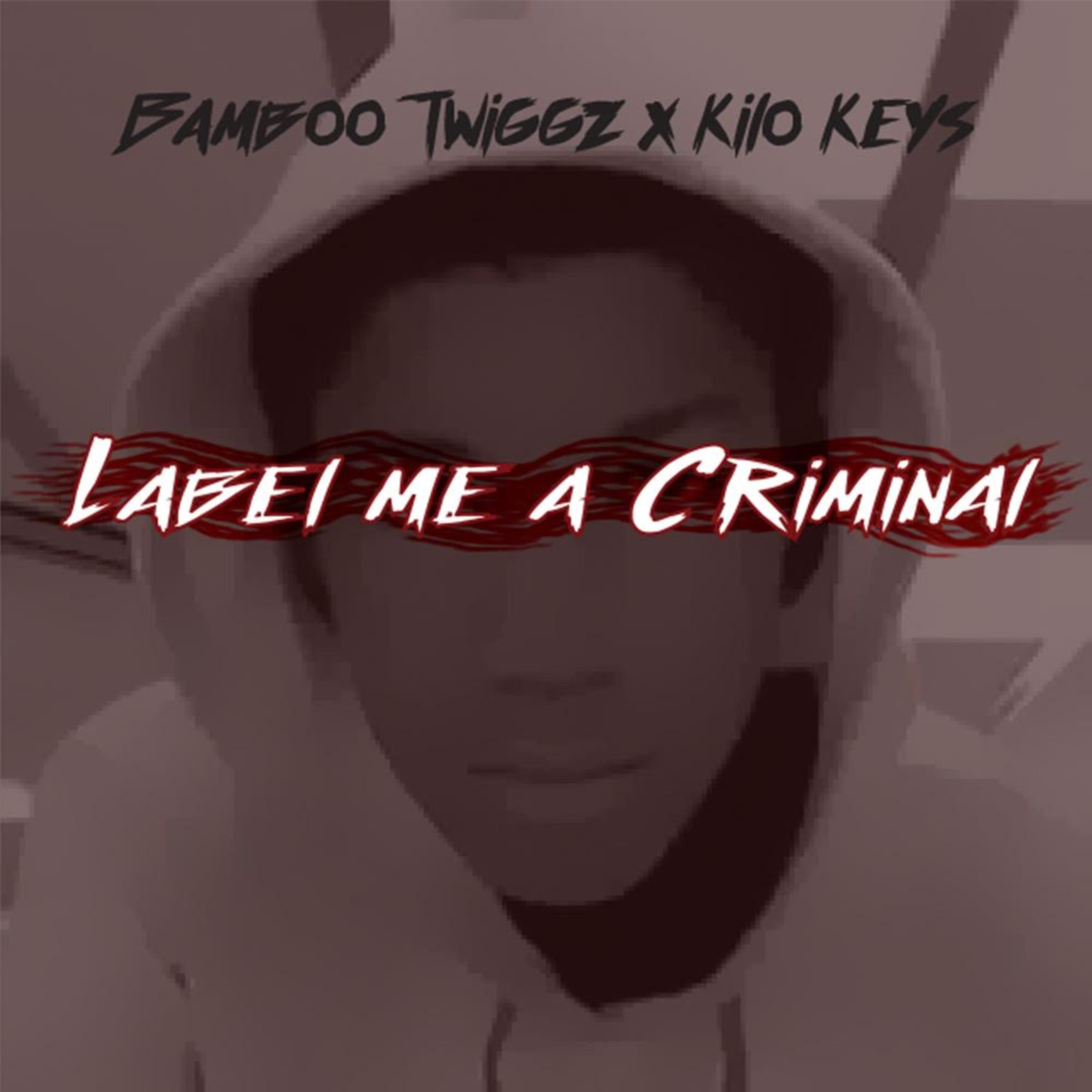 Label Me A Criminal artwork