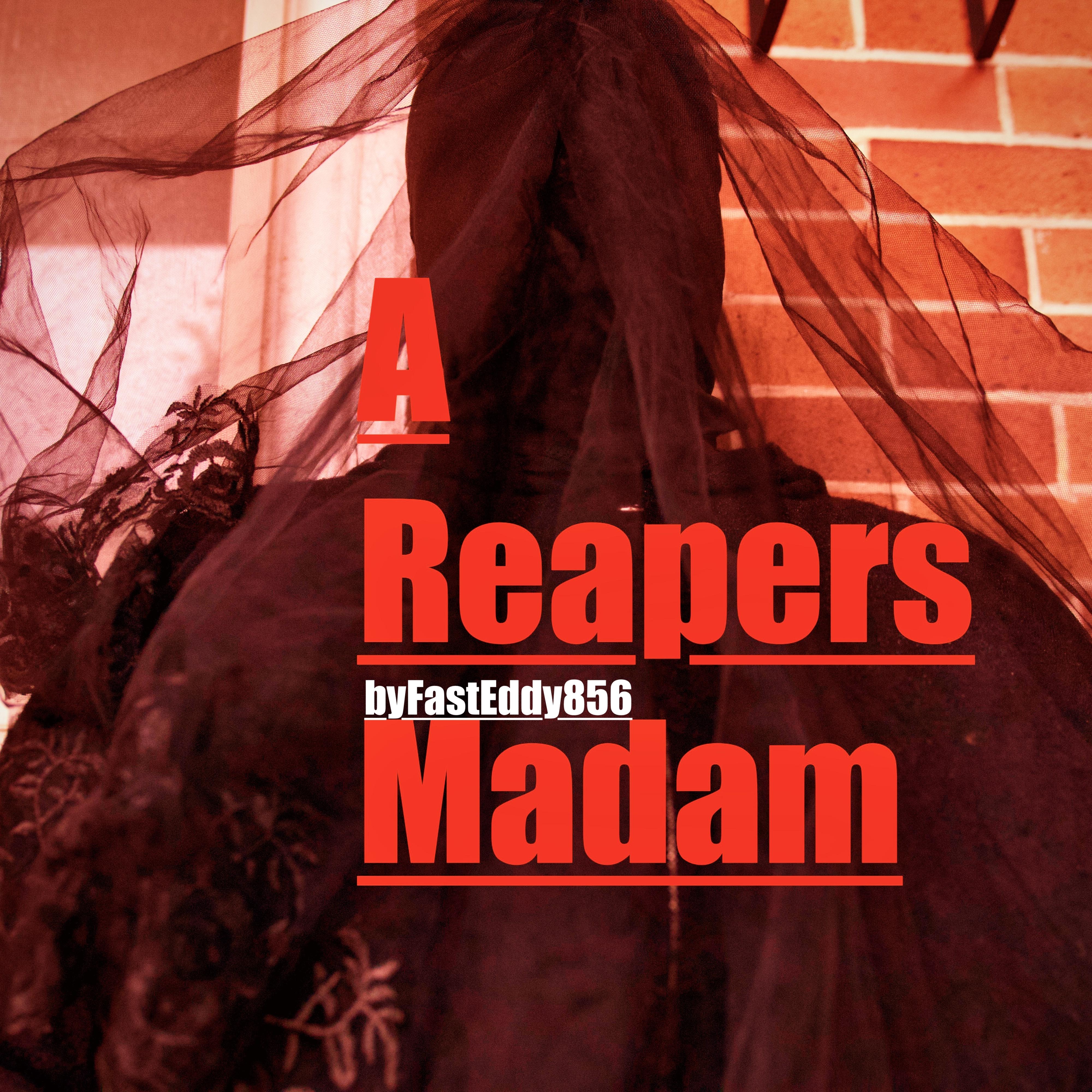 A Reapers Madam artwork
