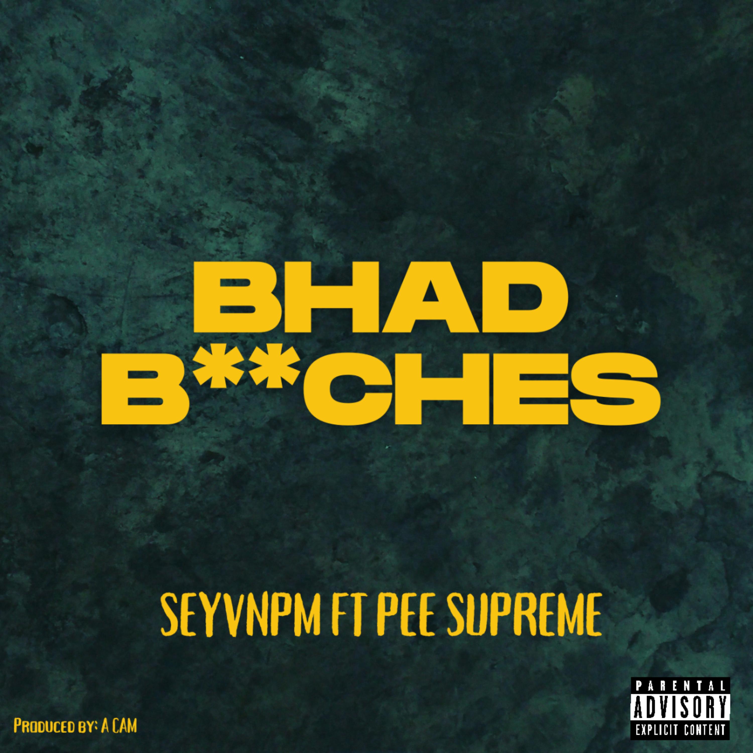 BHAD BITCHES artwork