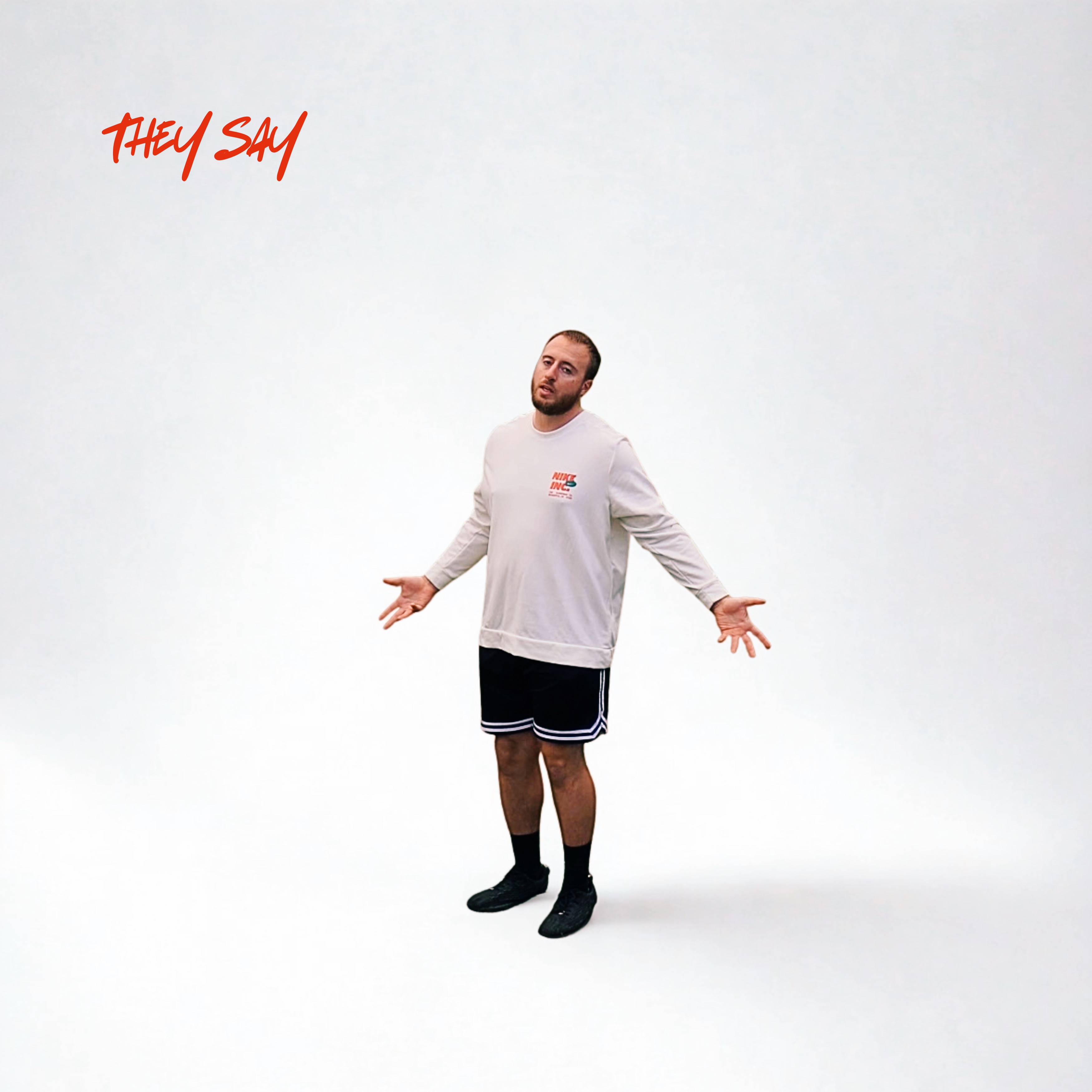 They Say artwork