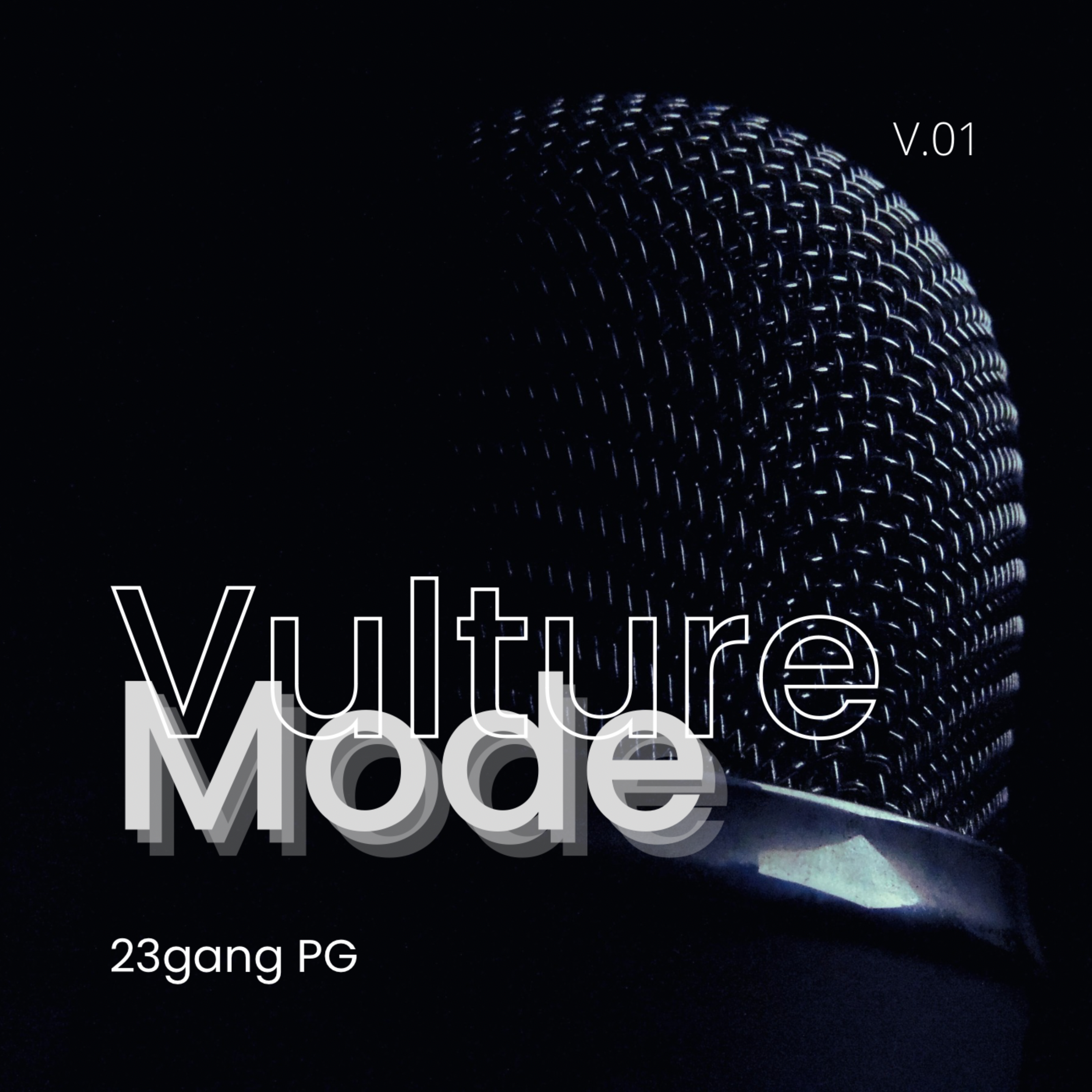 VULTURE MODE artwork