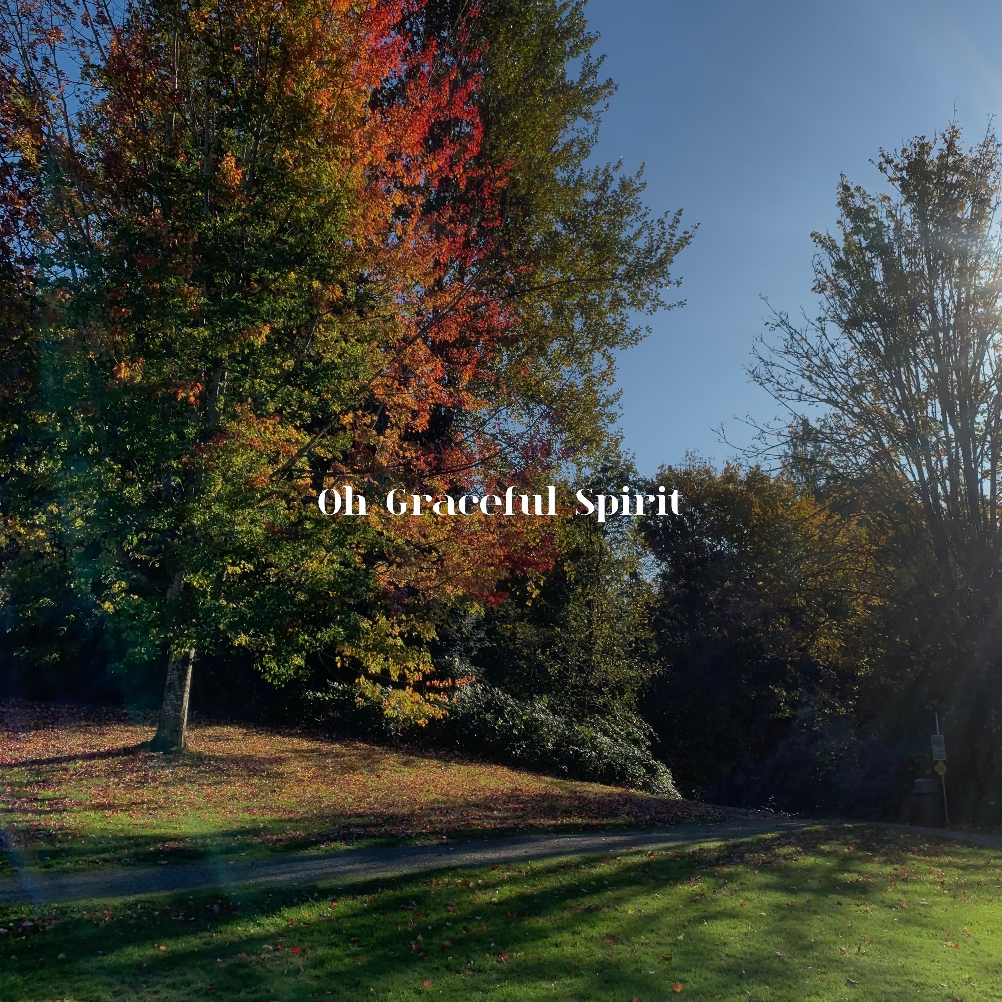 Oh Graceful Spirit artwork