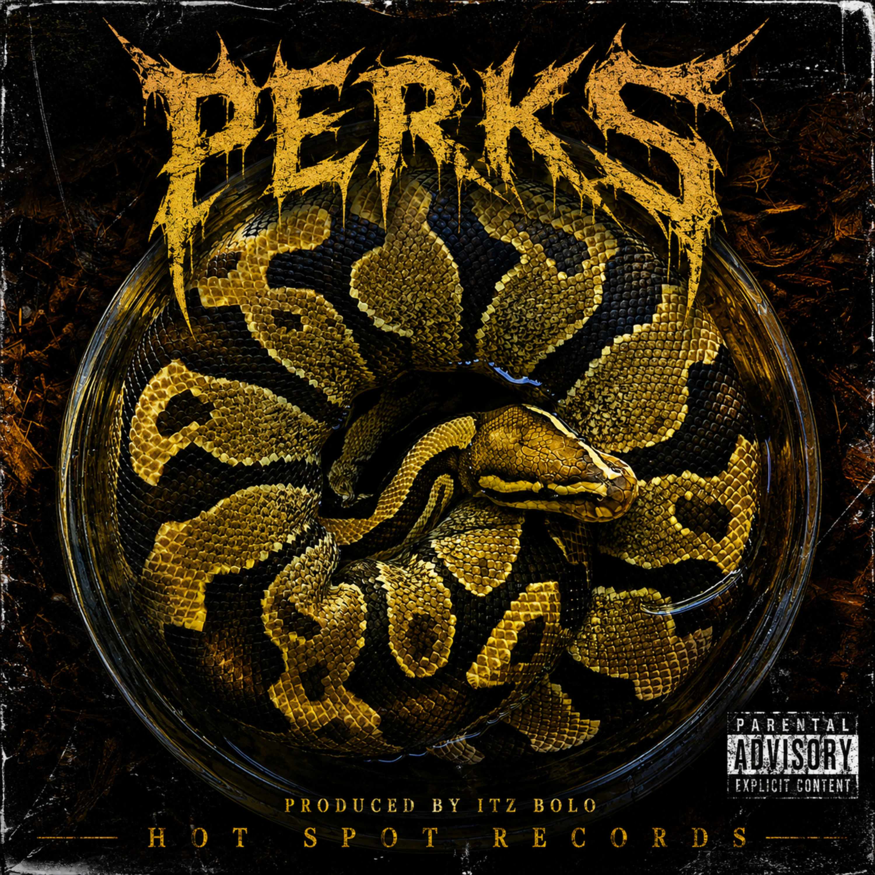 perks by ITZ BOLO cover art