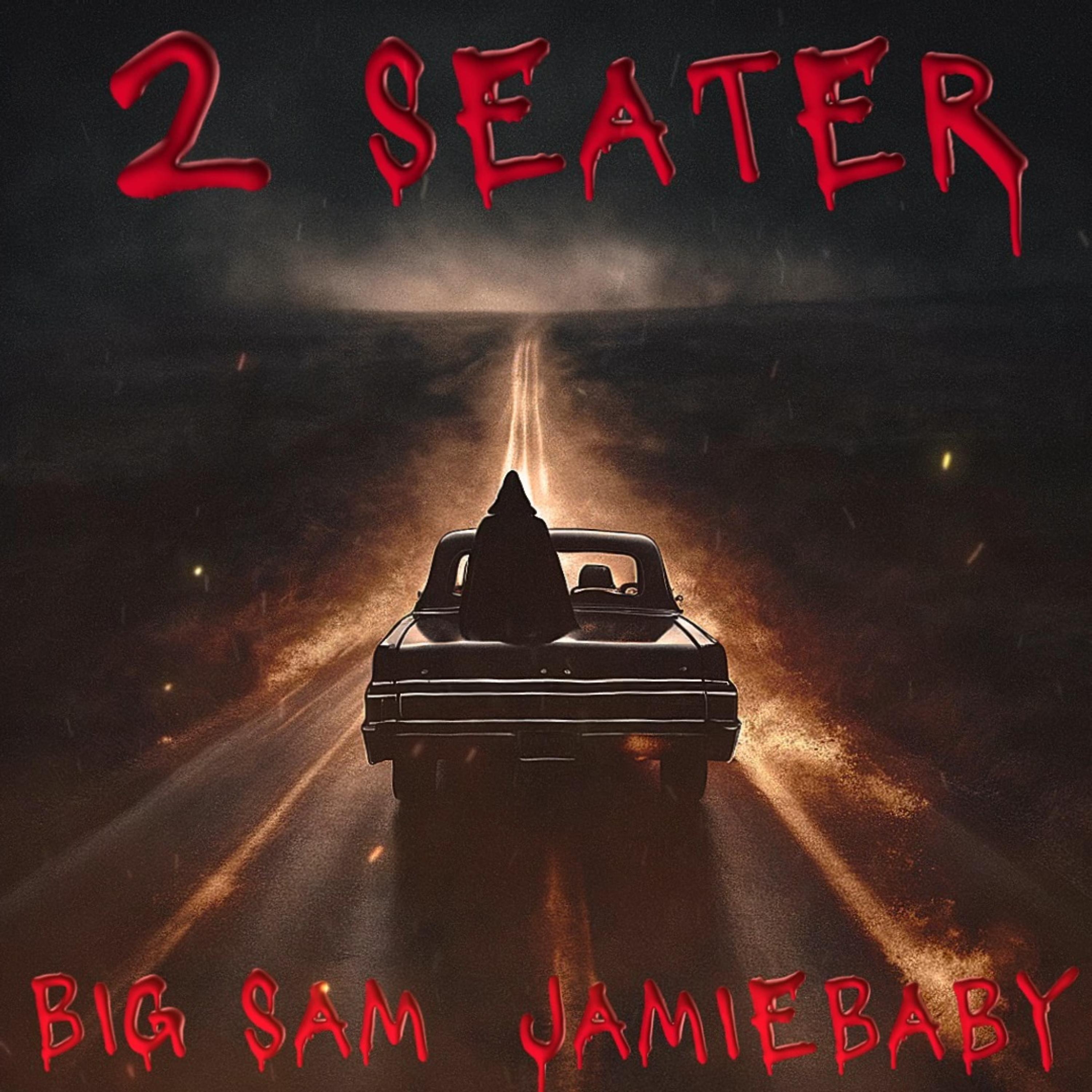 2 Seater artwork