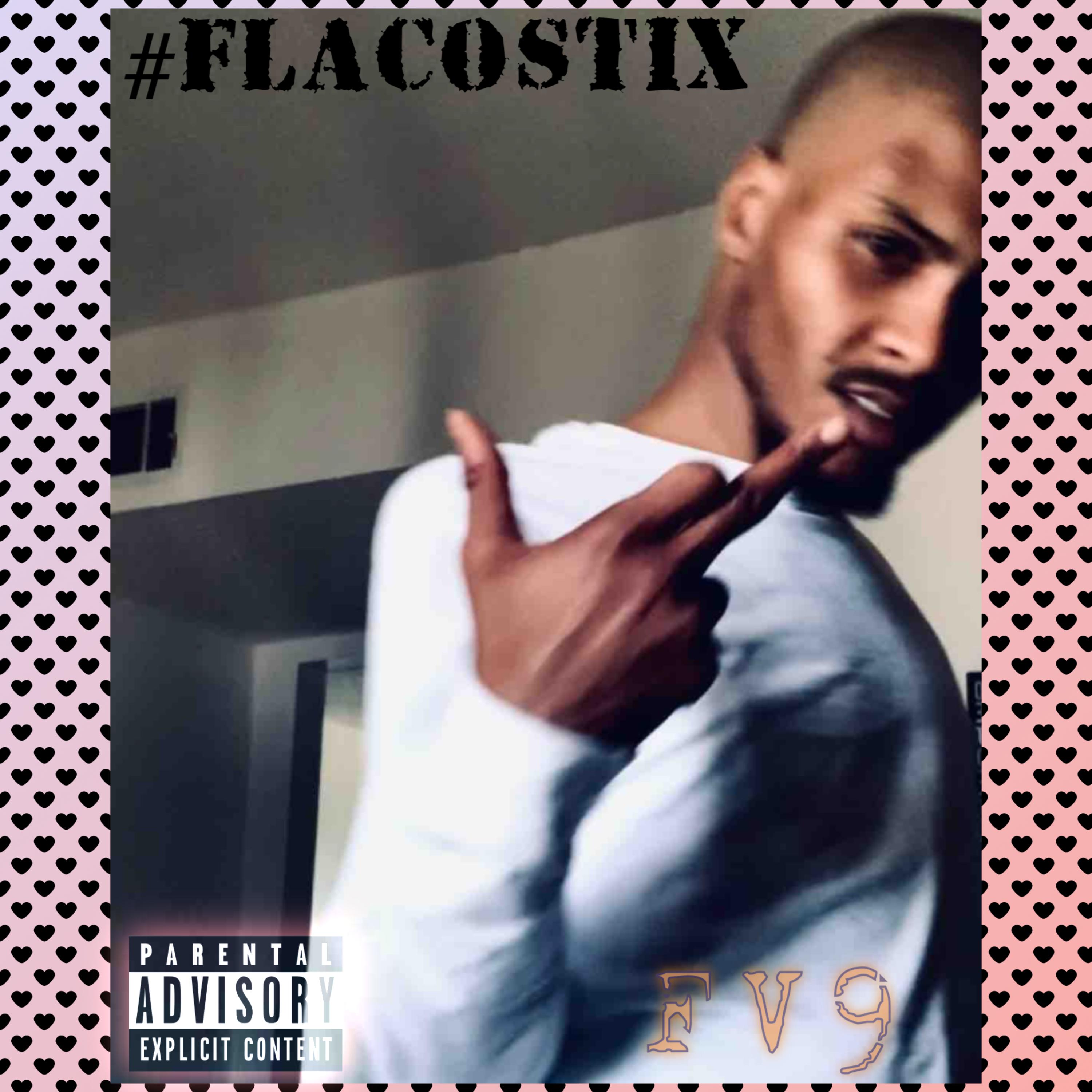 Fv9 artwork