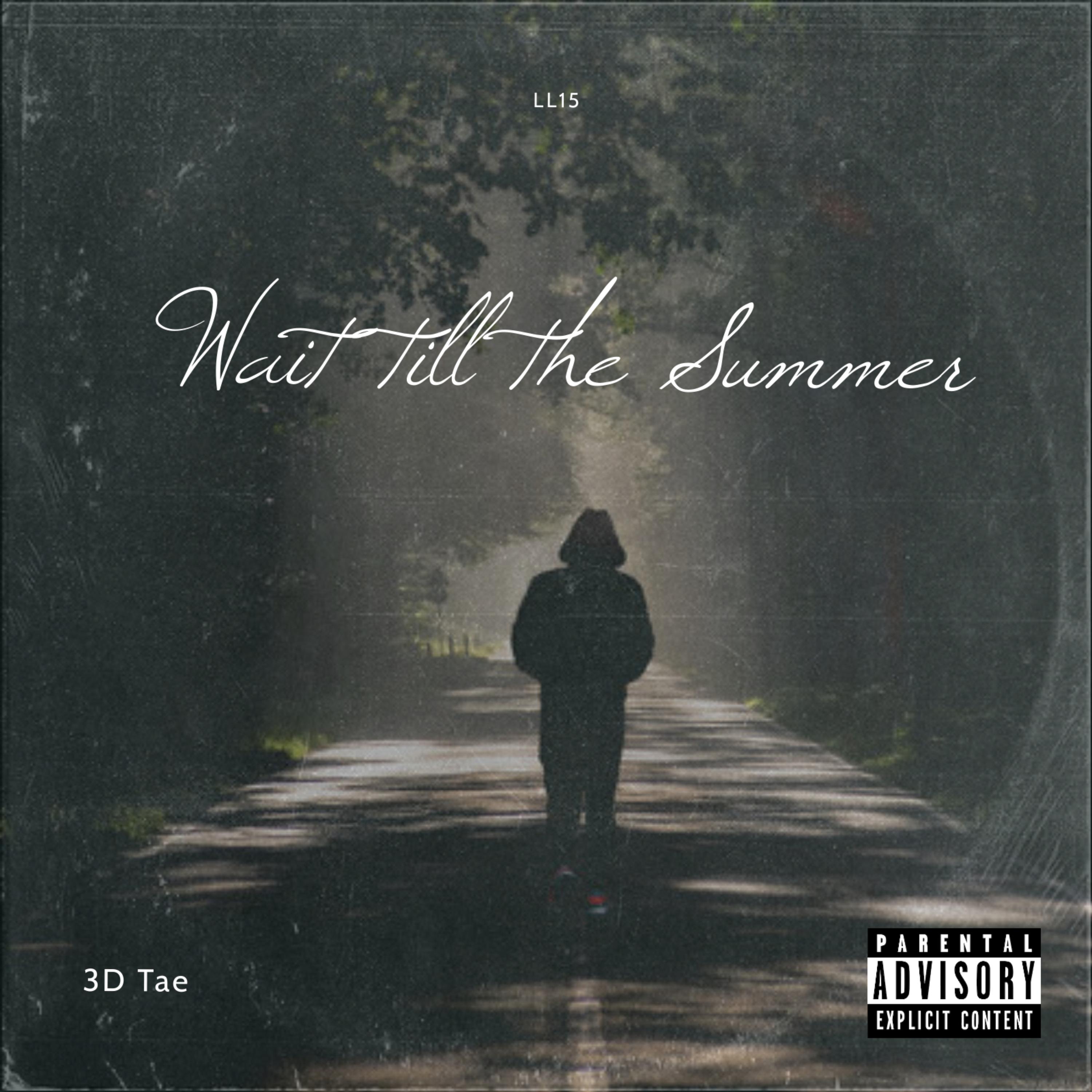 Wait Till The Summer artwork