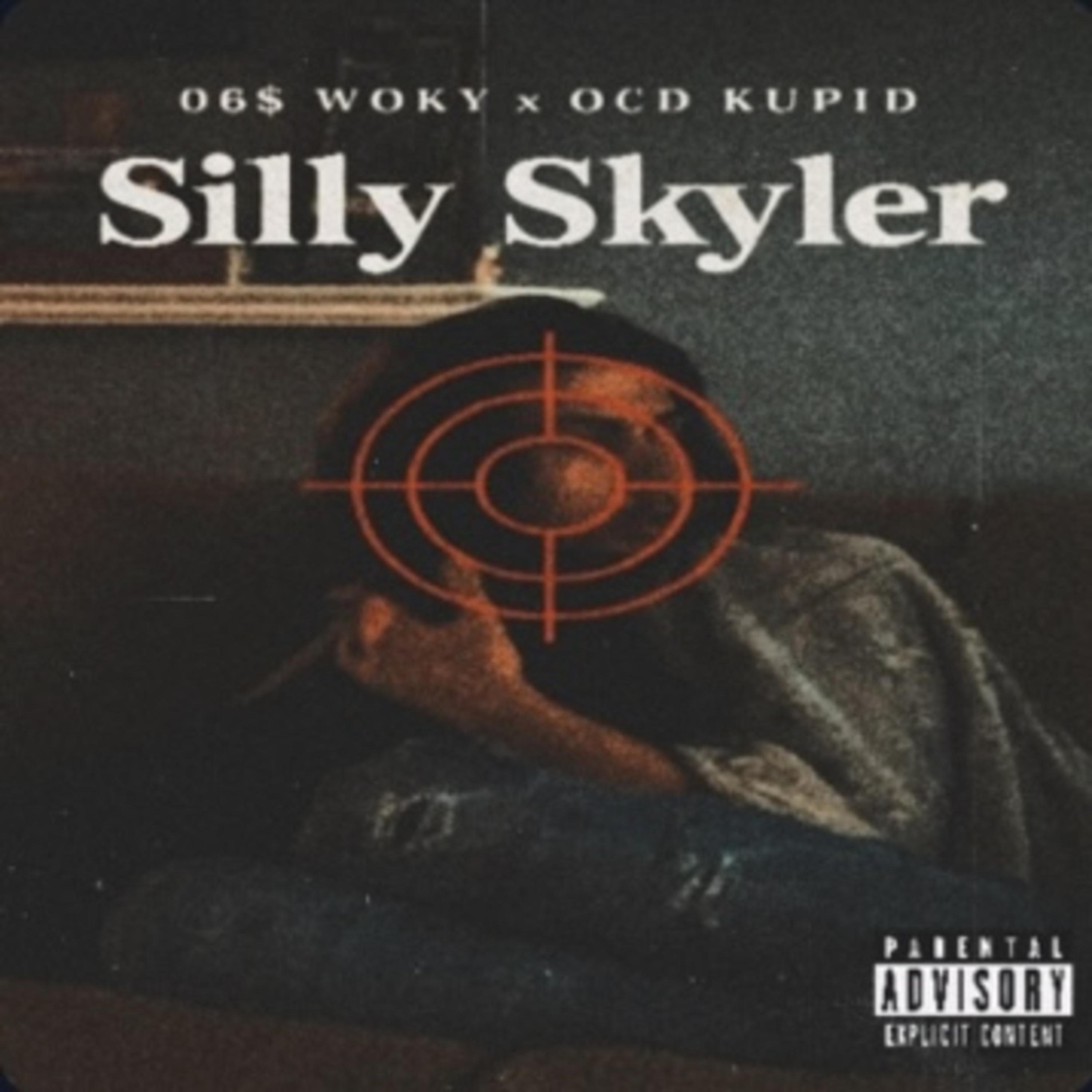 Silly Skyler artwork