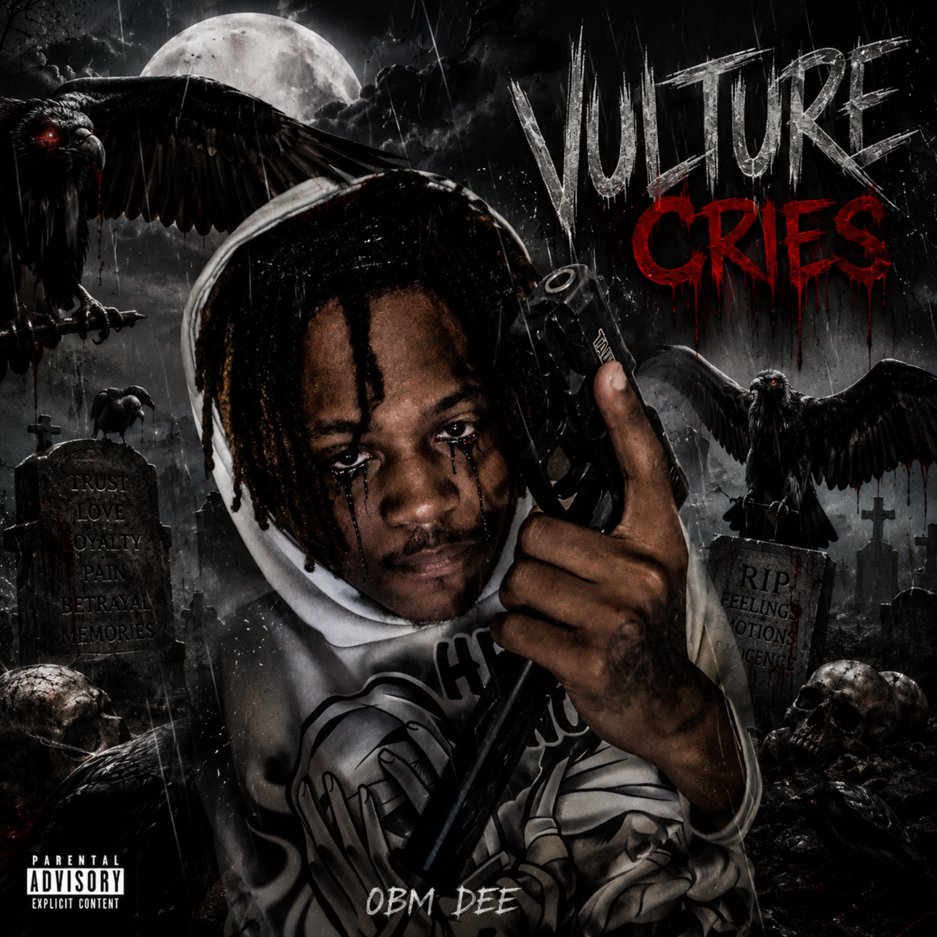 Vulture Cries by OBM Dee cover art