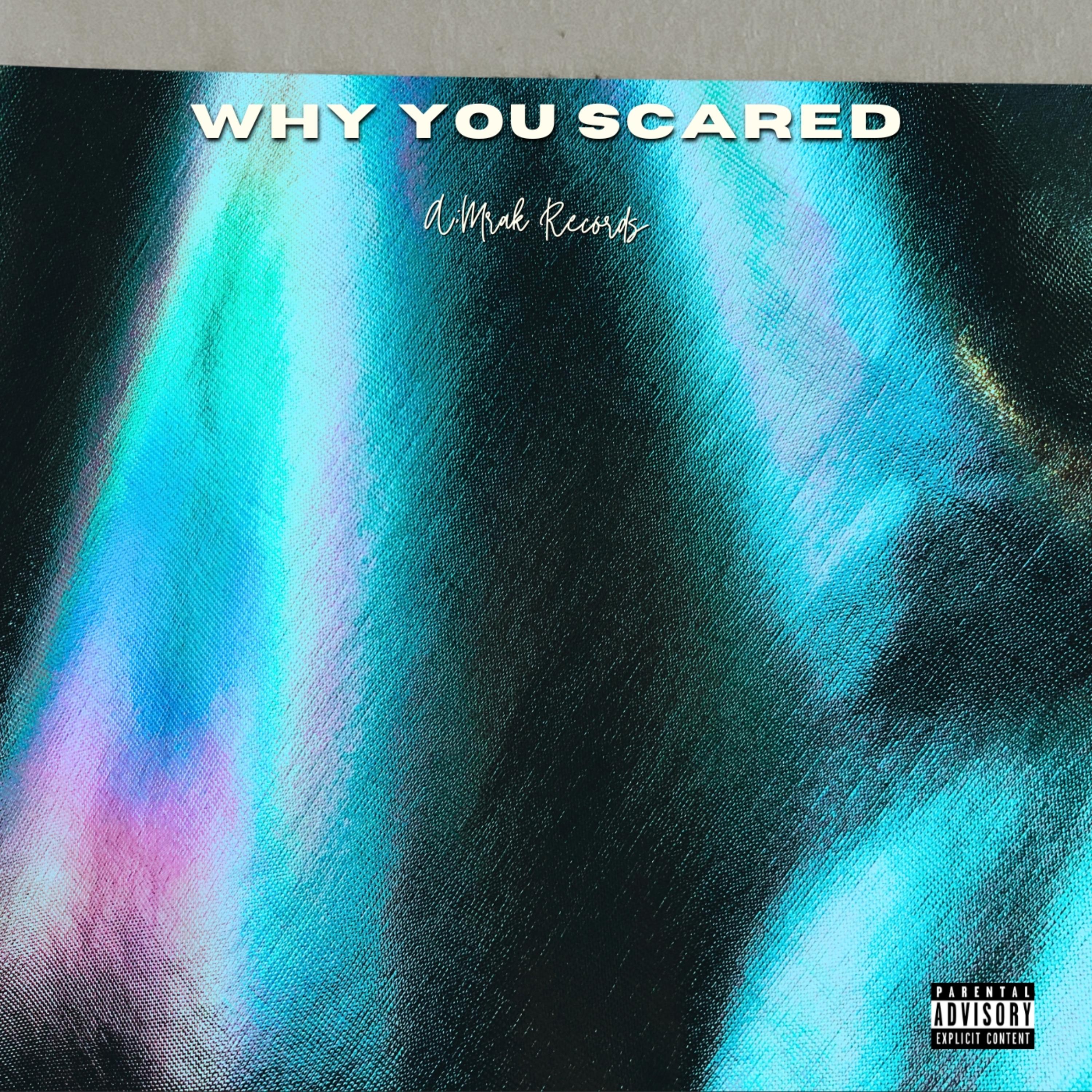WHY YOU SCARED artwork