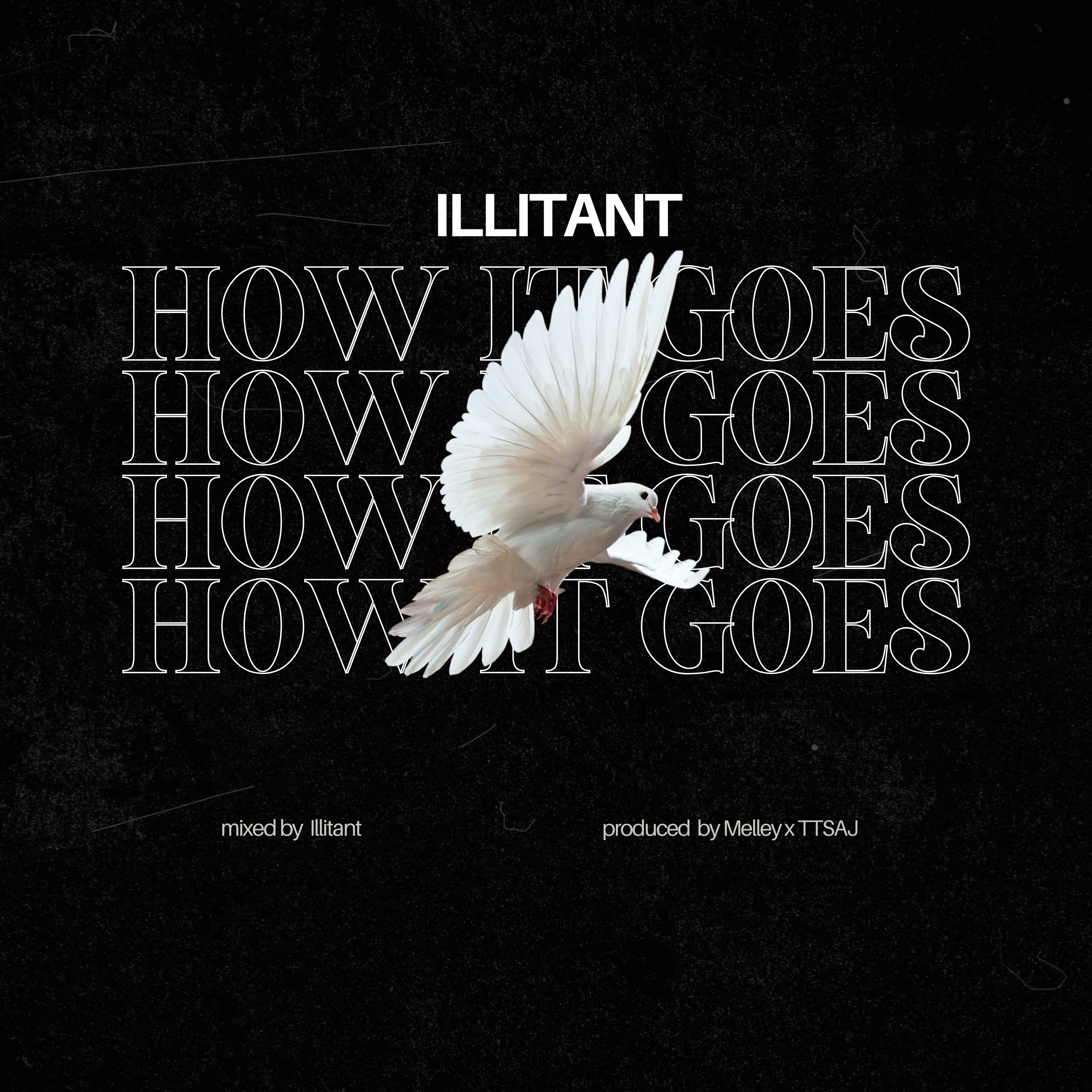 HOW IT GOES artwork