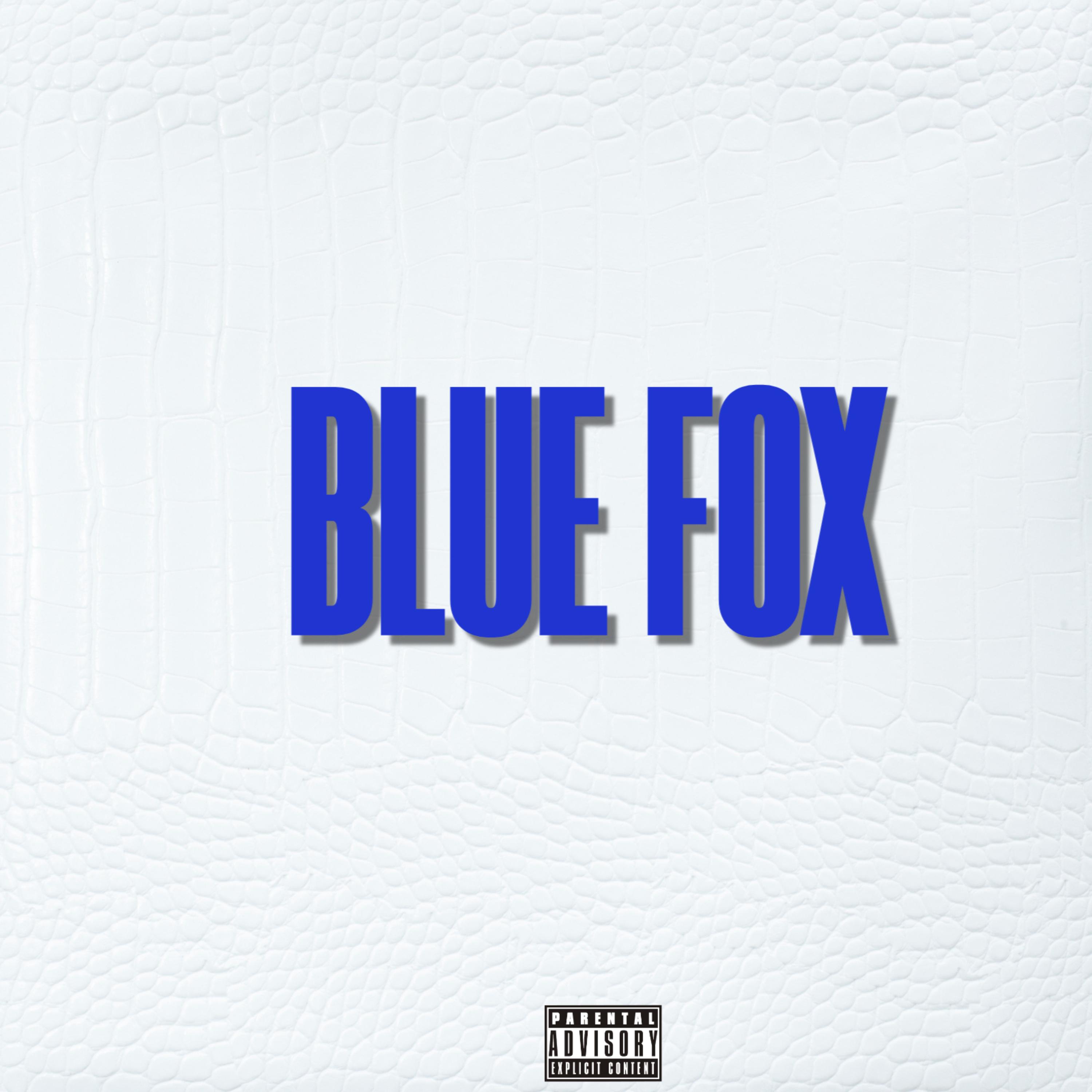 BLUE FOX artwork