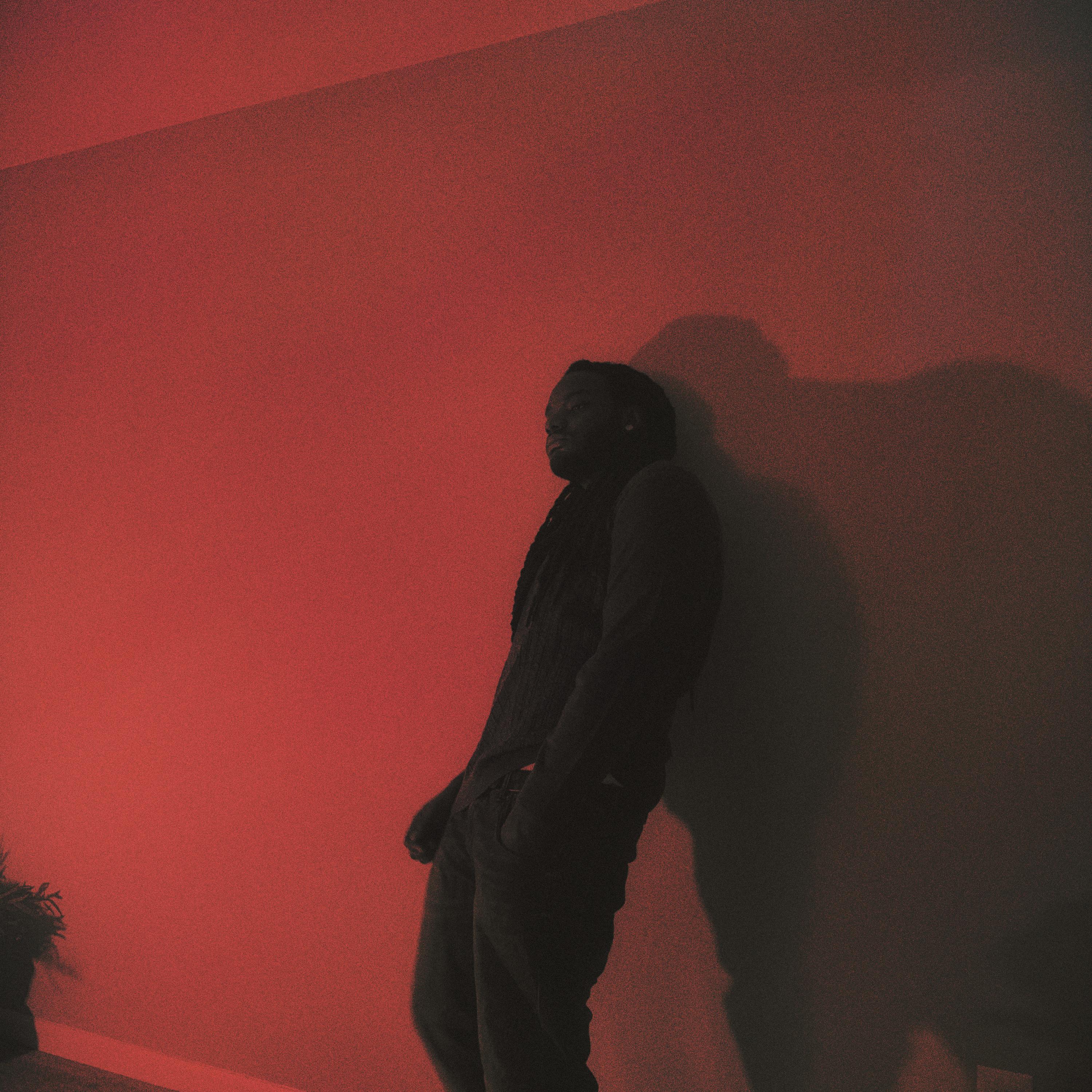 Been One Freestyle by LY9 cover art