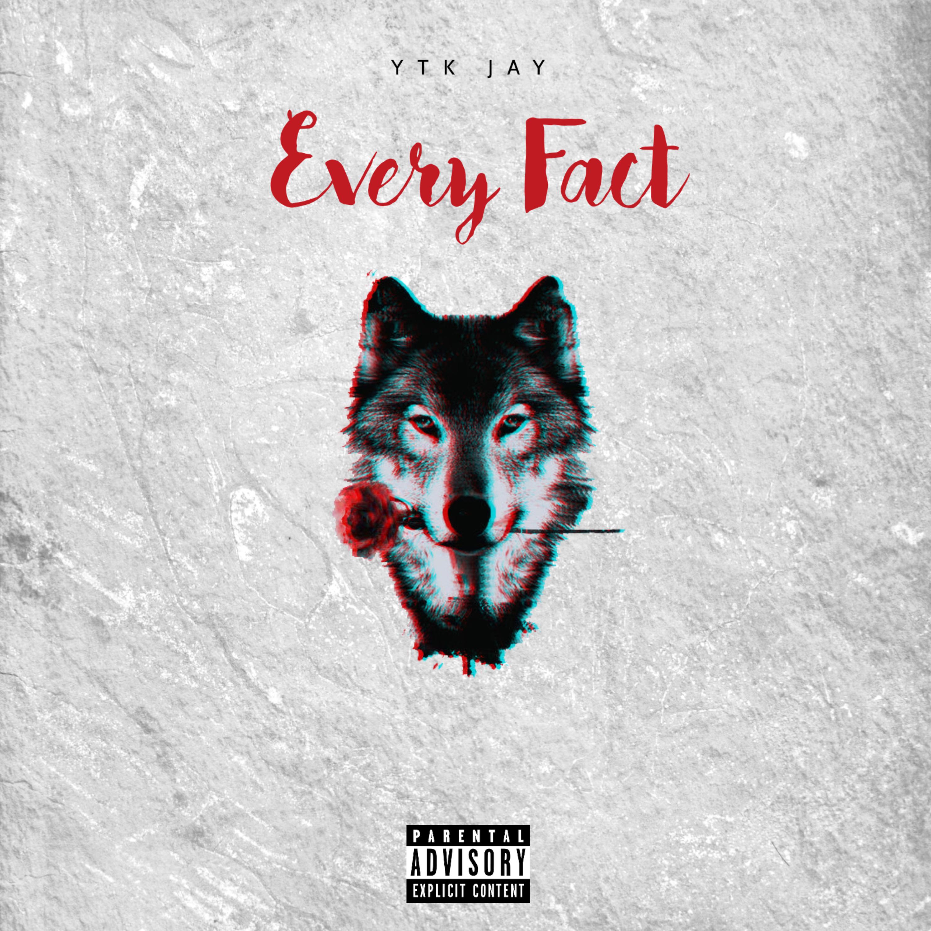 Every Fact artwork