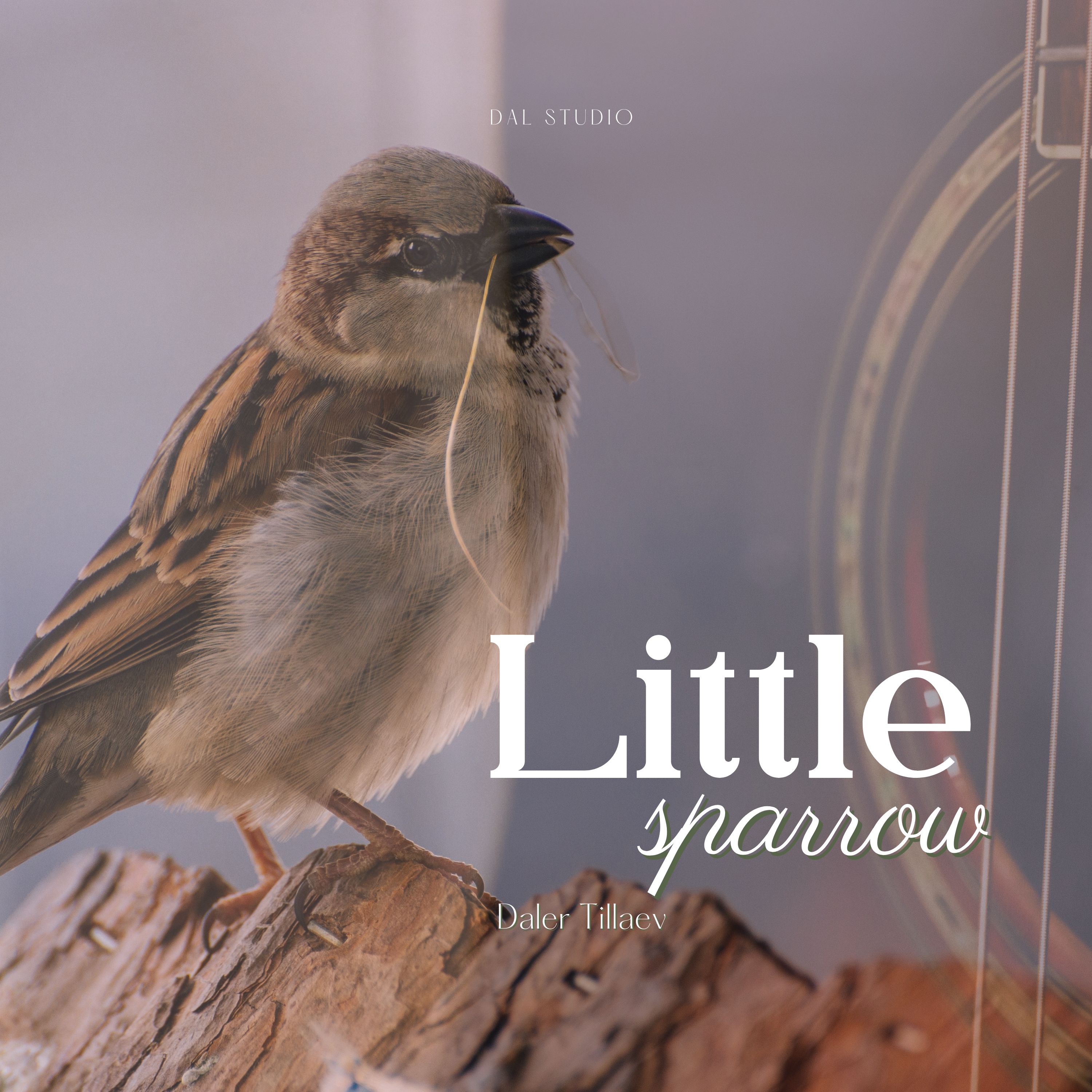 Little sparrow artwork