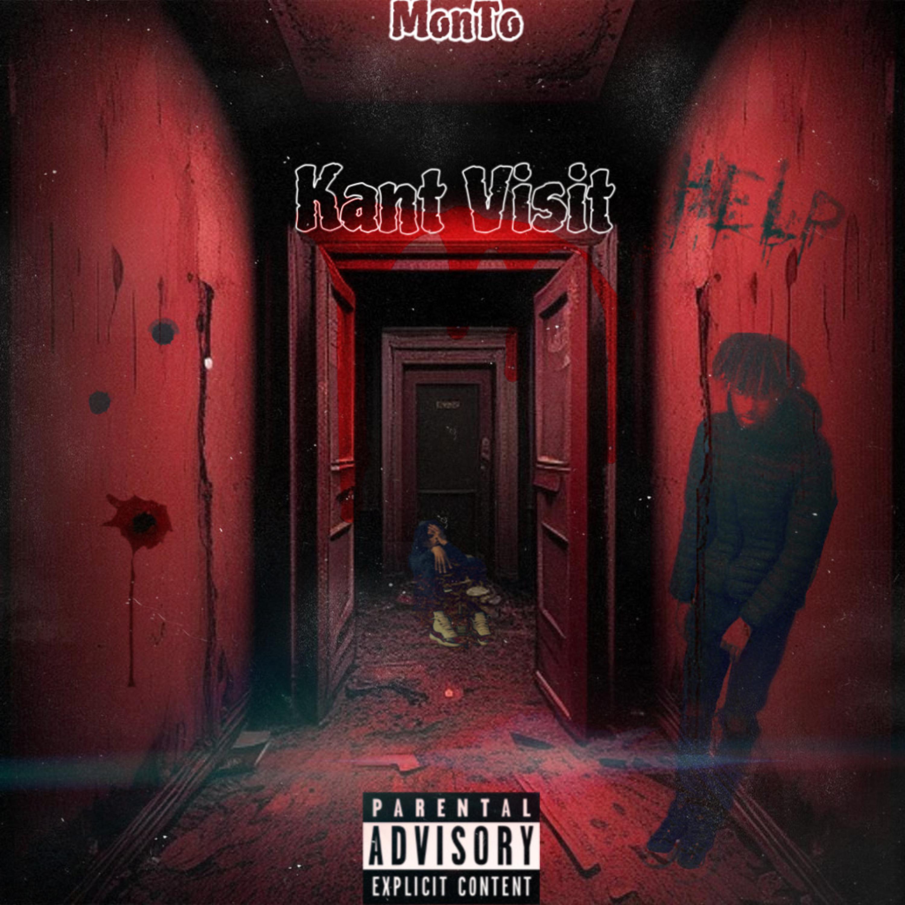 Kant Visit artwork