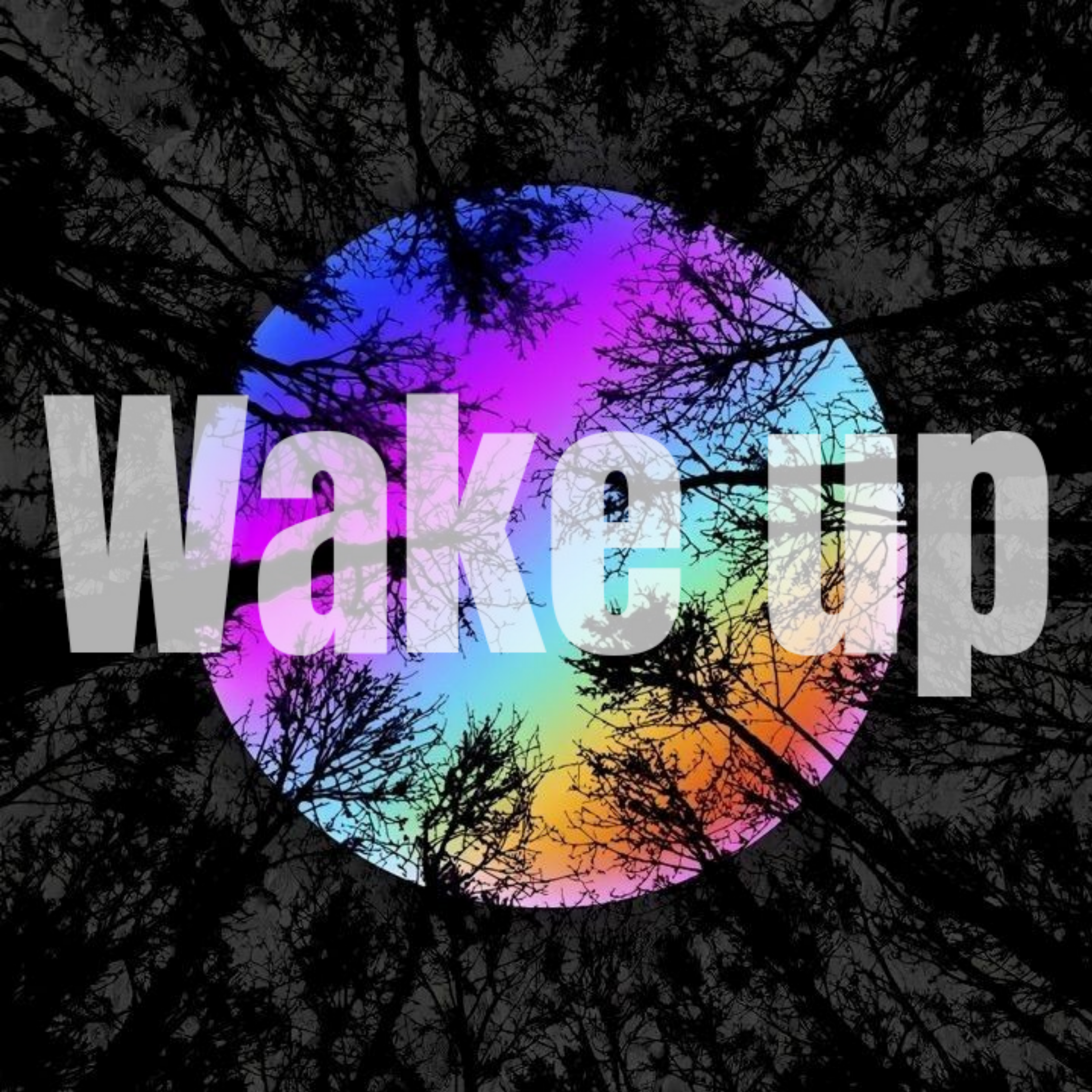 WAKE UP artwork