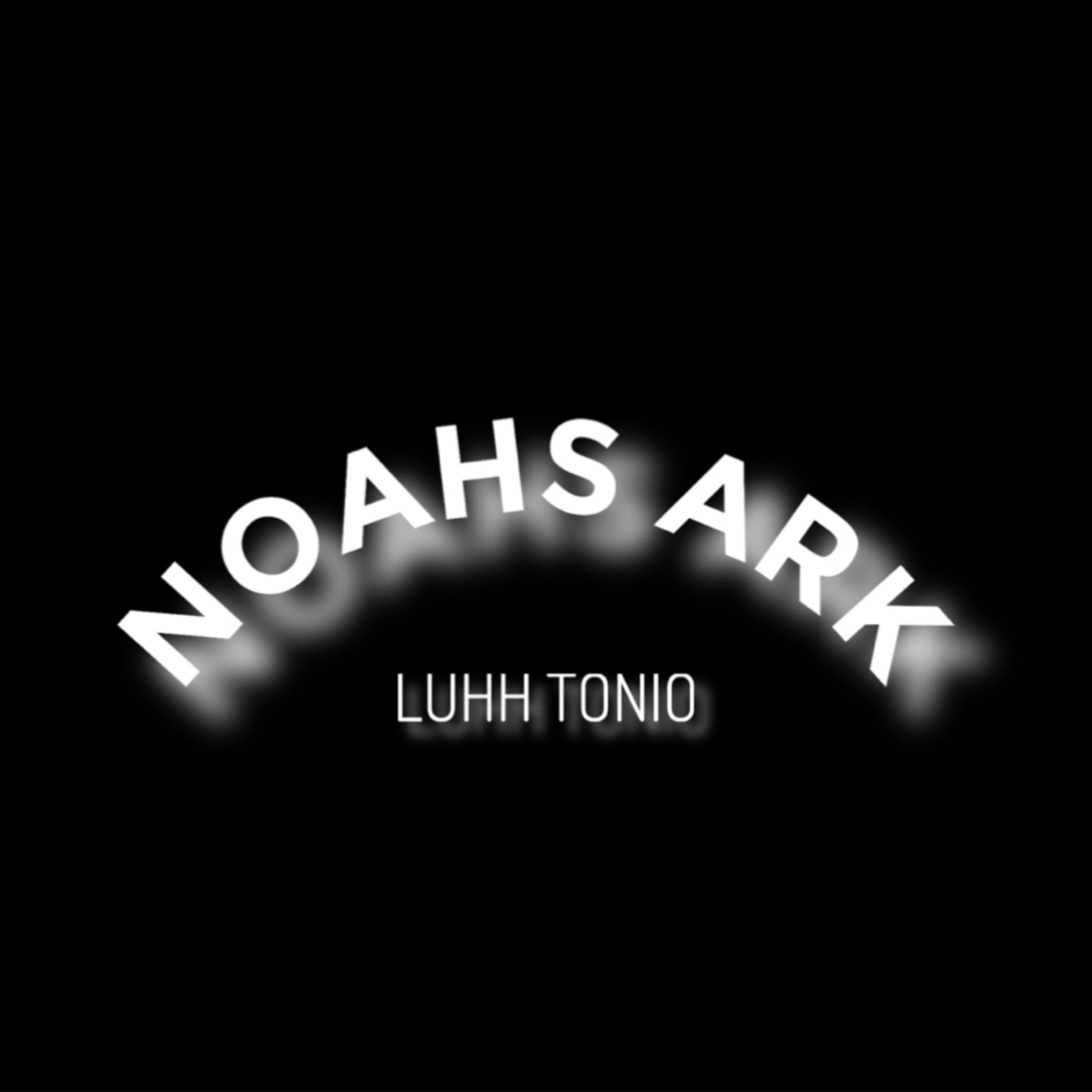 Noah's Ark artwork