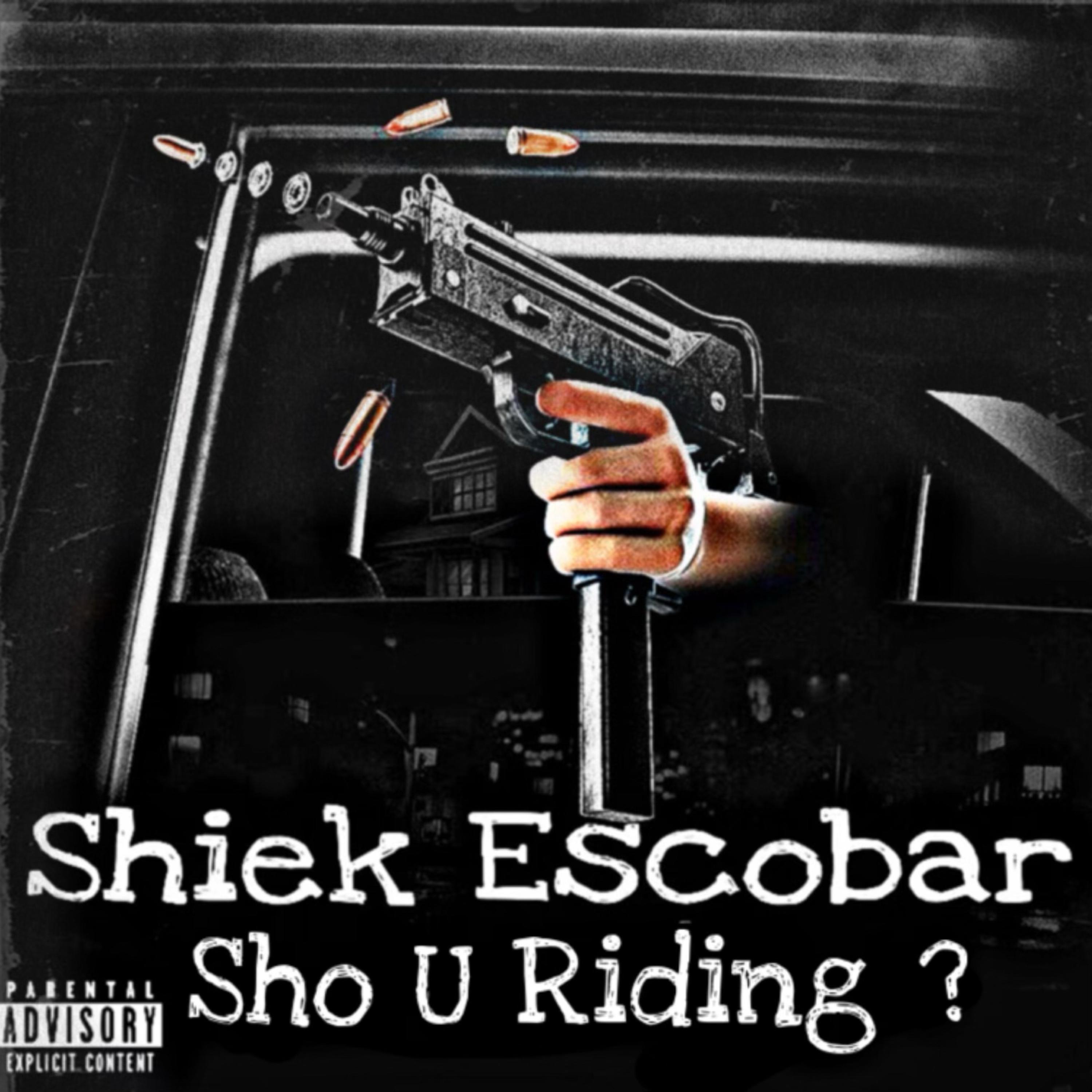 Sho U Riding? artwork