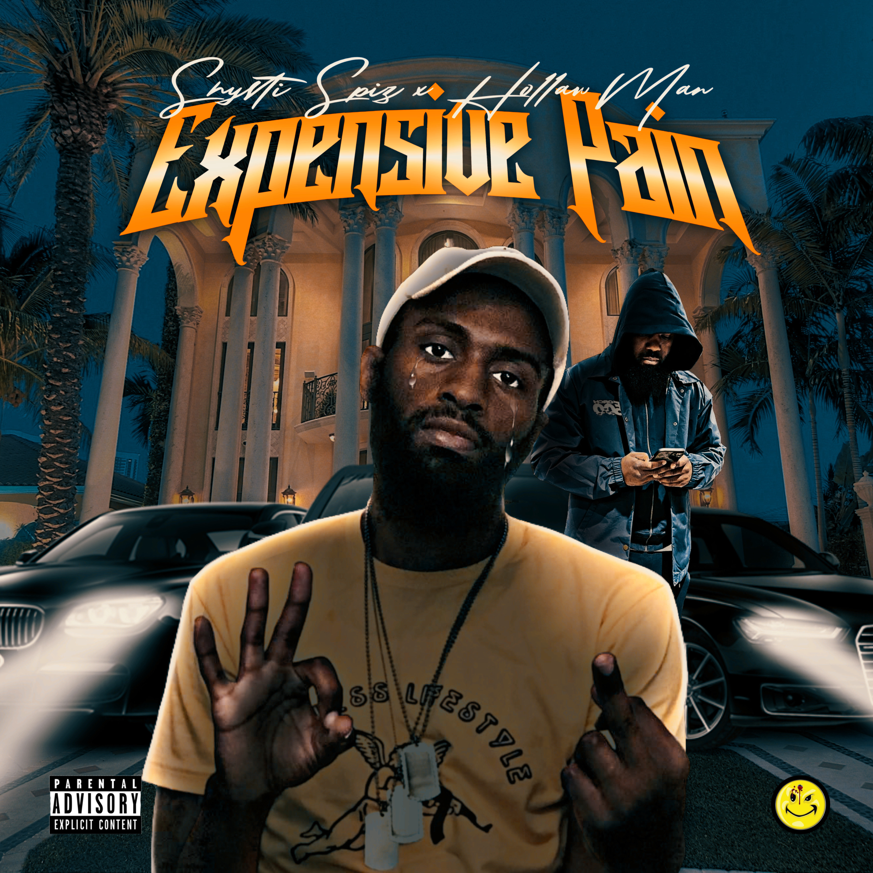 Expensive Pain artwork