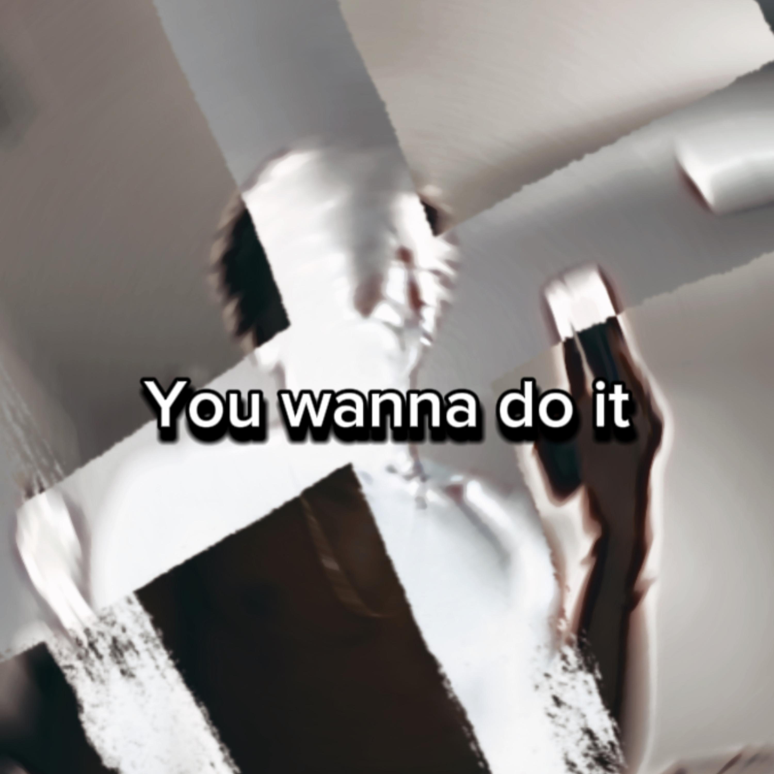 You Wanna Do It artwork