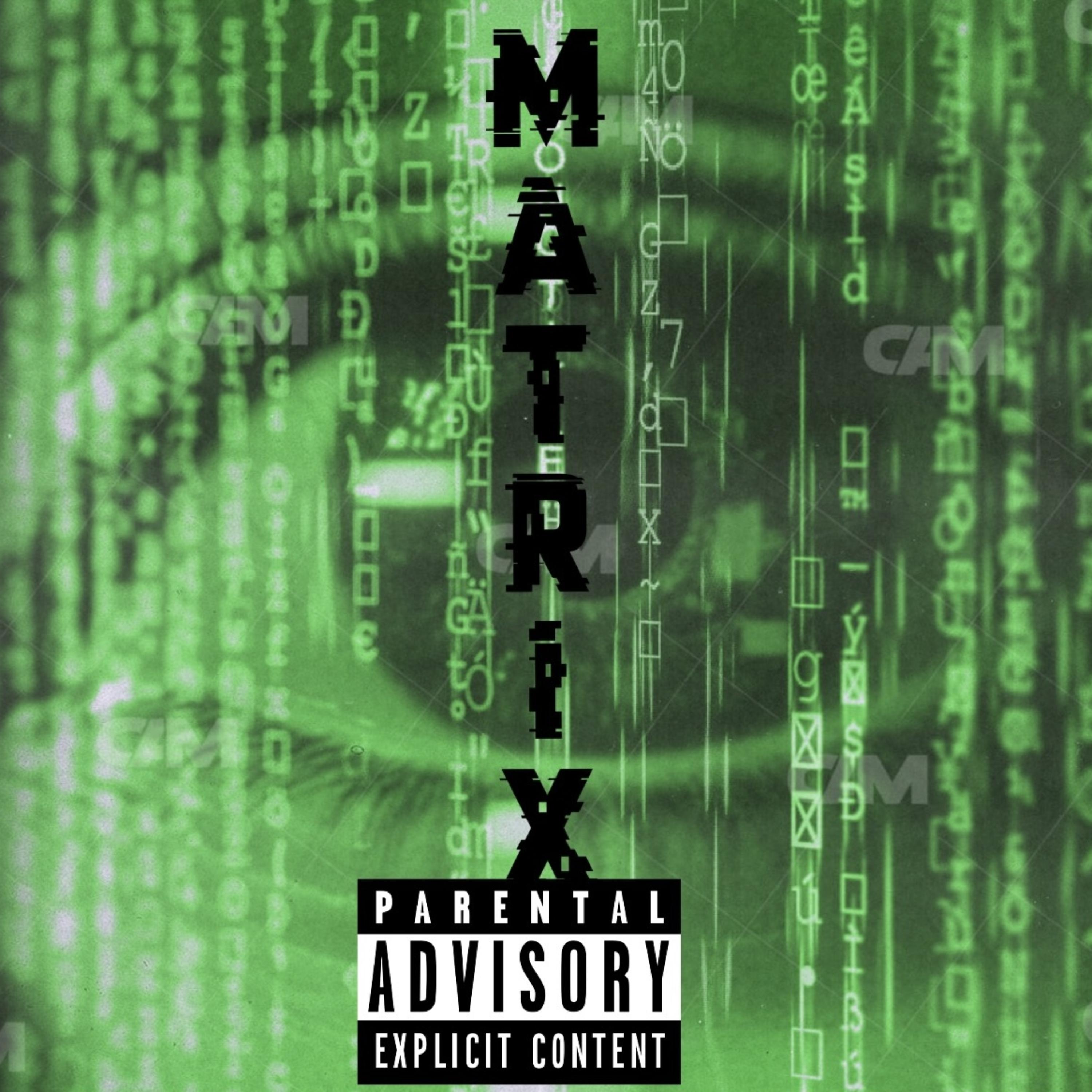 THE MATRIX artwork