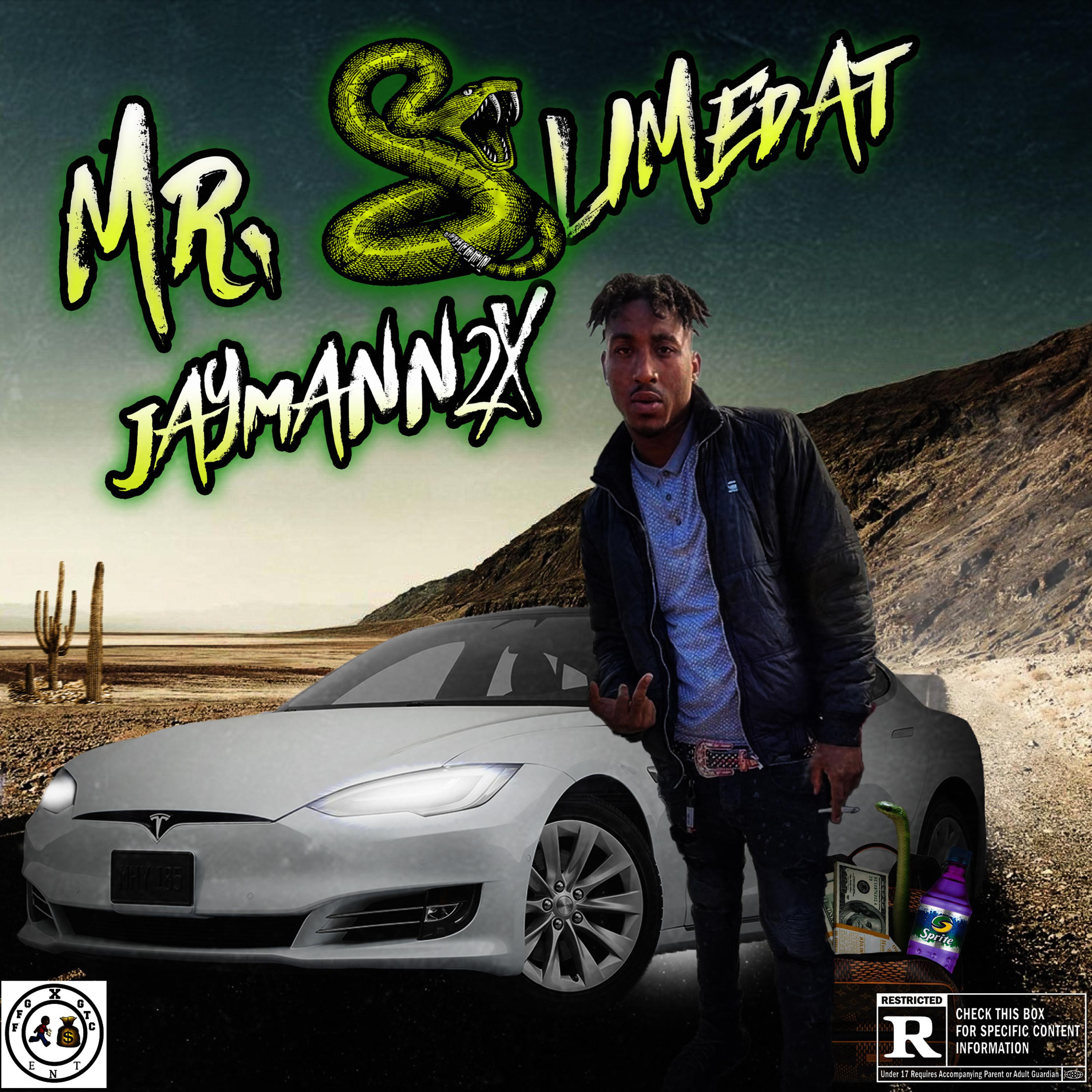 Mr.Slime Dat artwork
