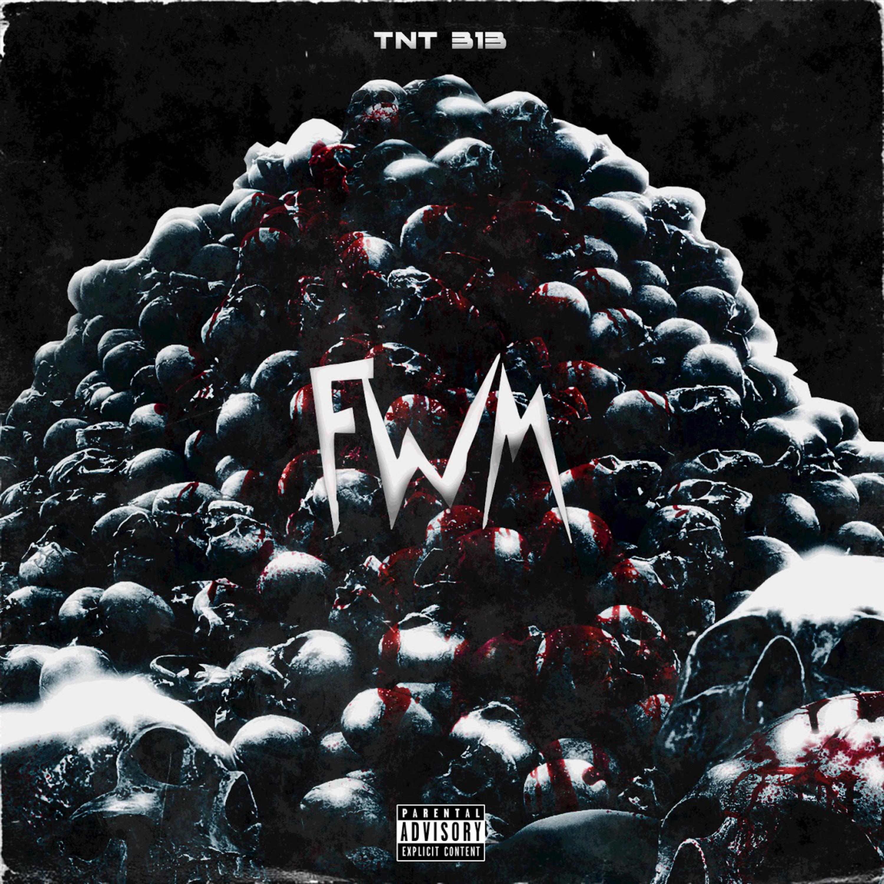 FWM artwork
