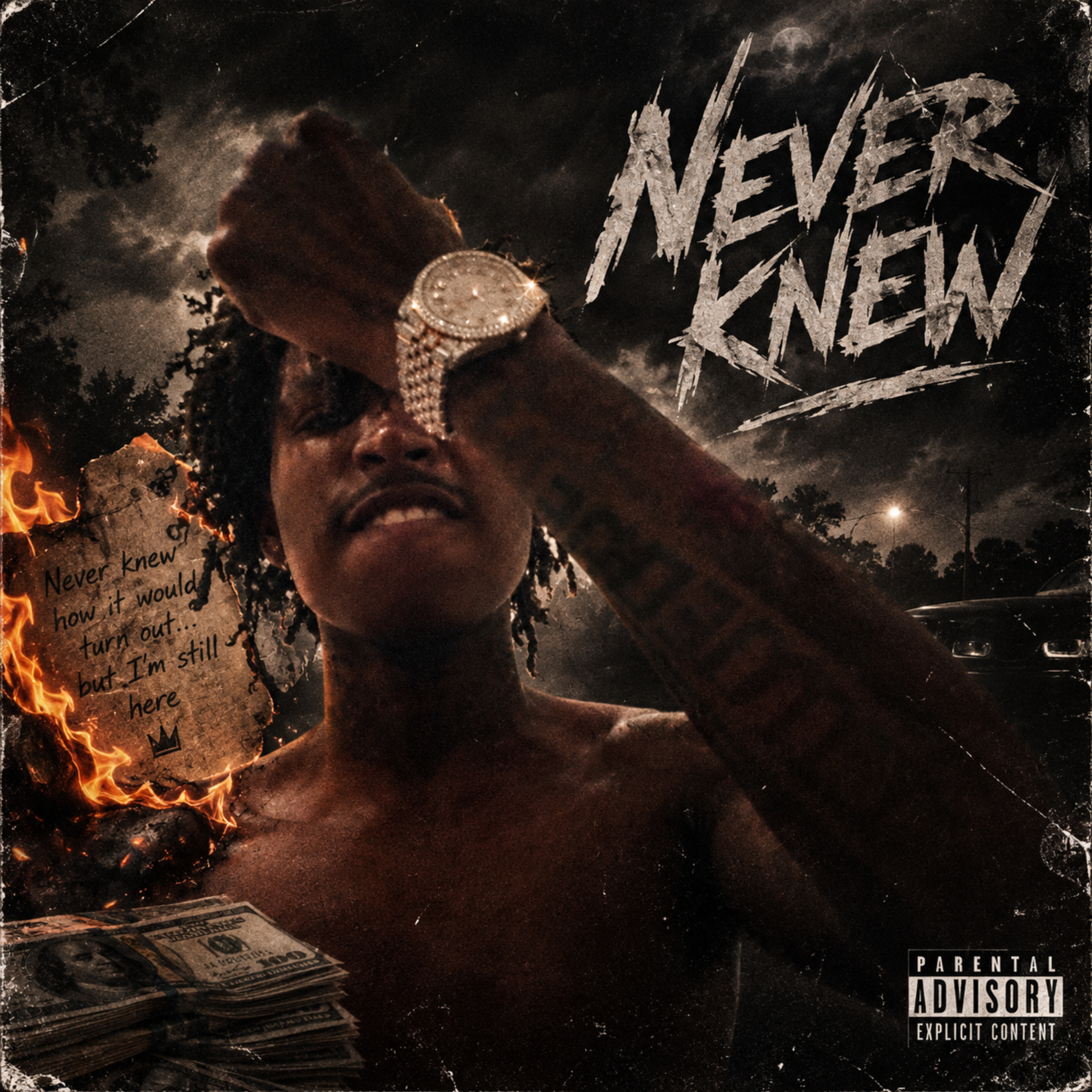 Never Knew by G6haviinn cover art