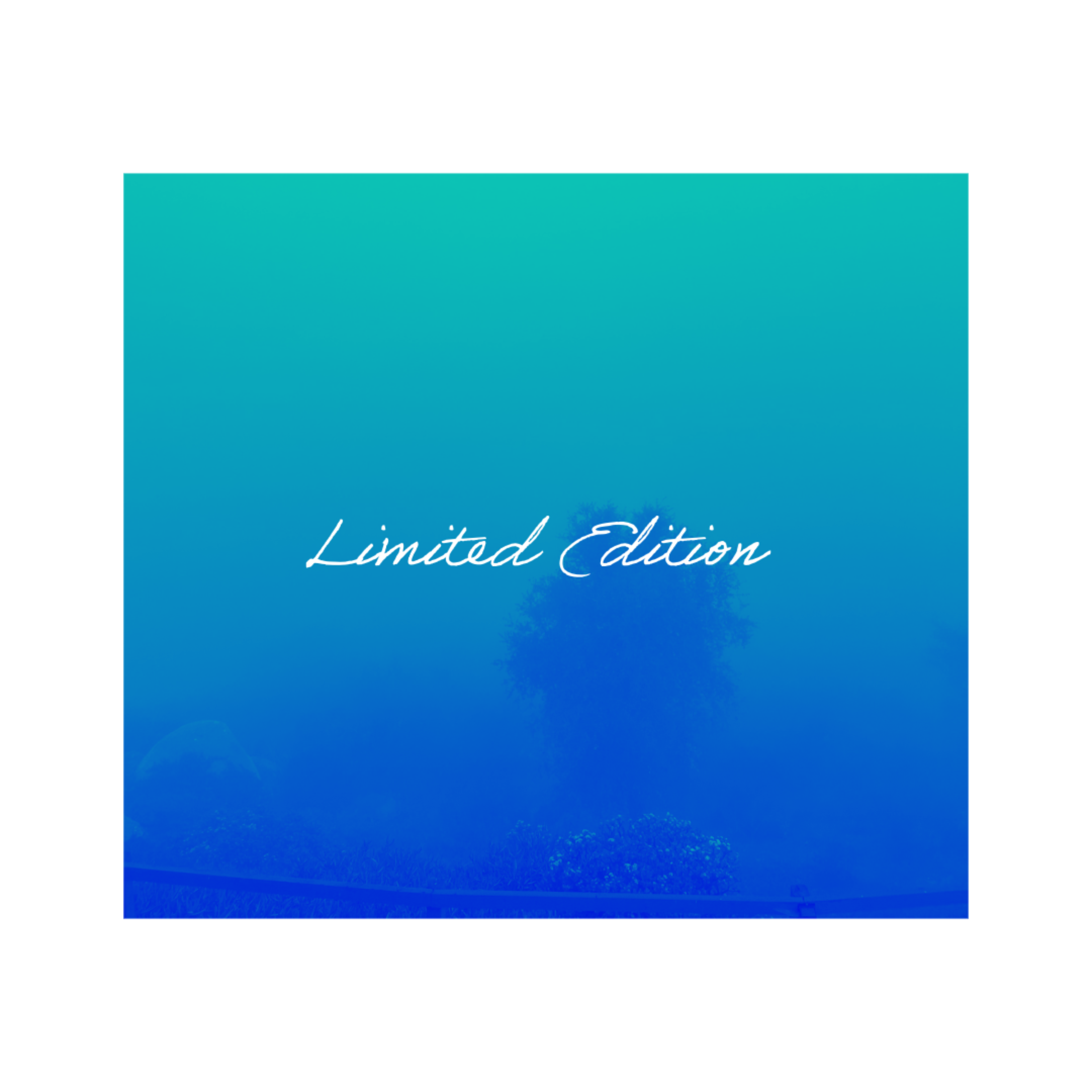 Limited Edition artwork