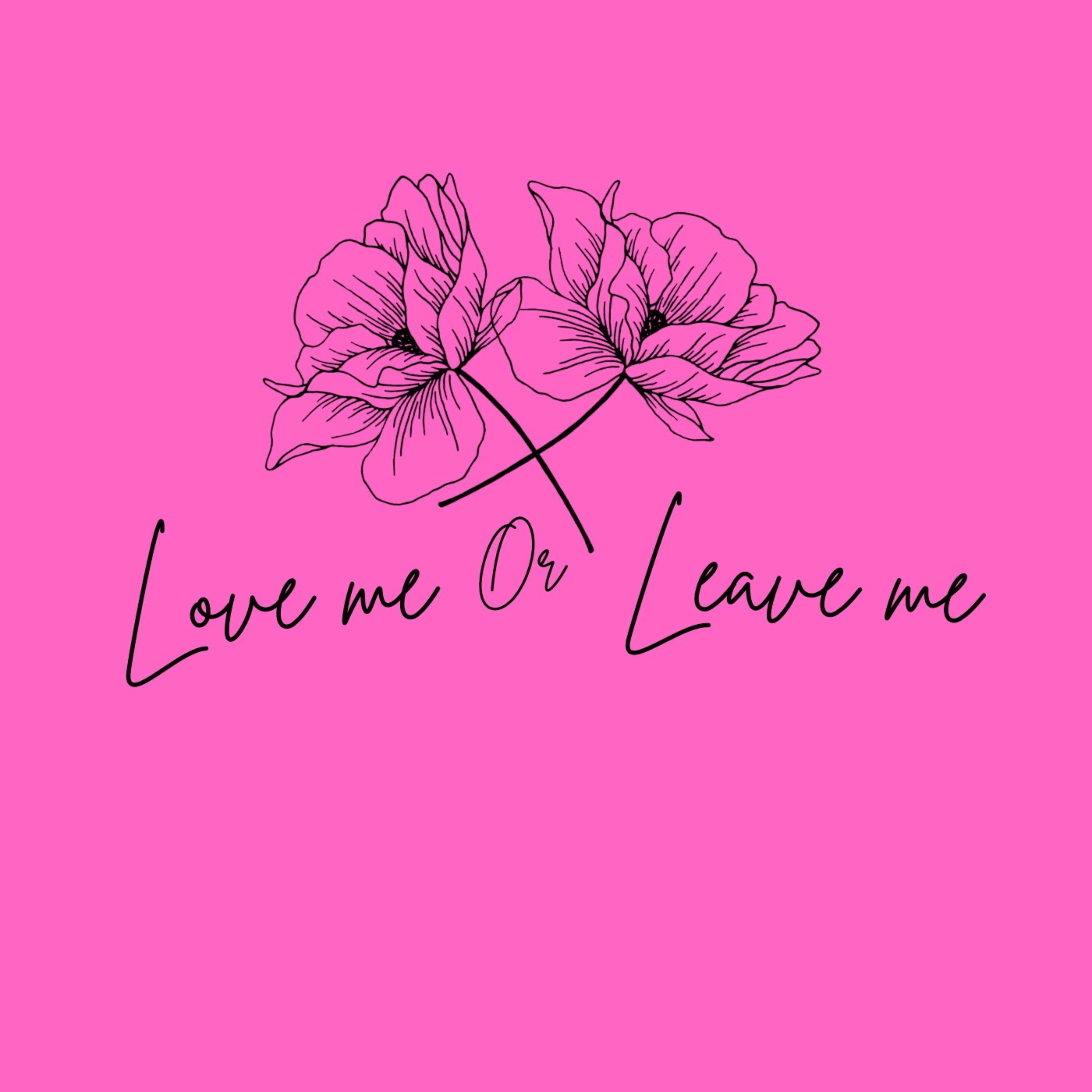 Love me or leave me artwork
