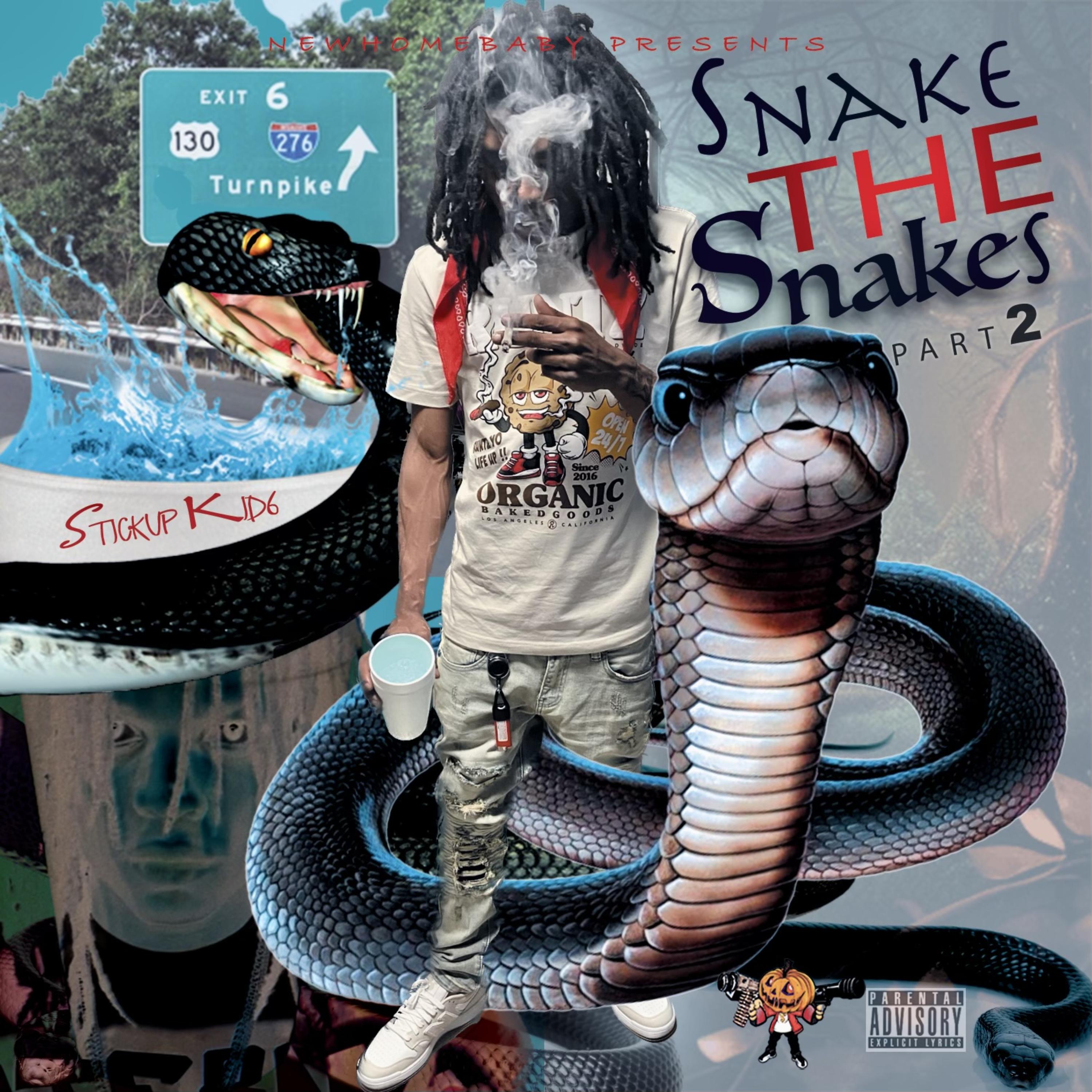 SnakeTheSnakes2 artwork