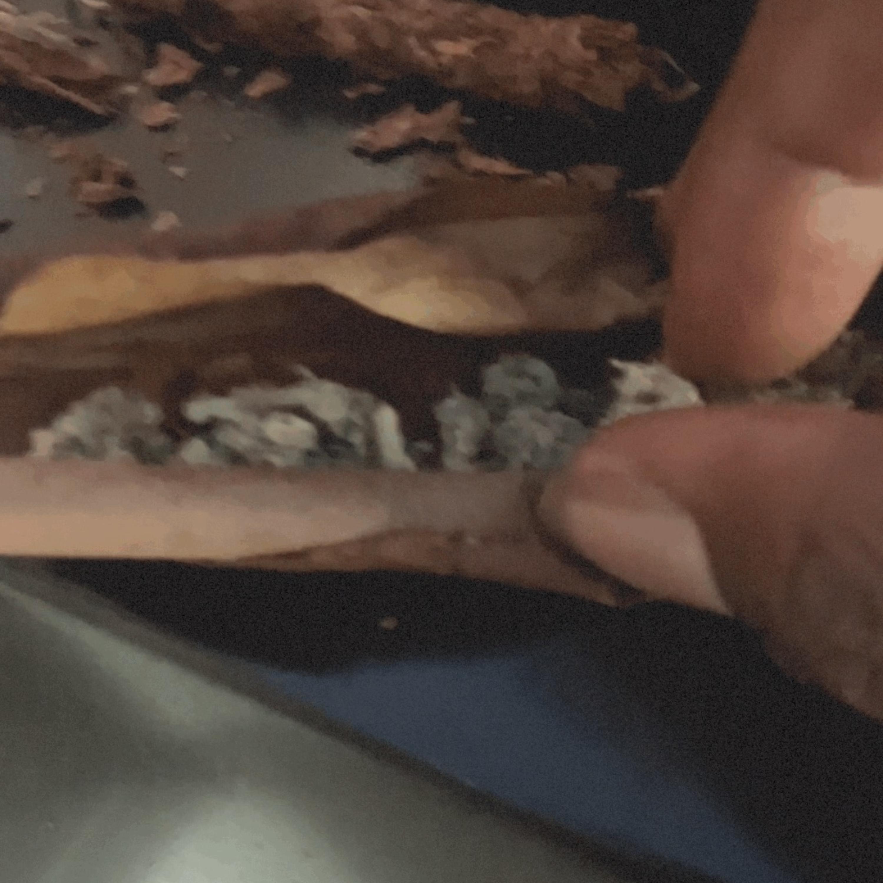 SHE GAVE ME INSTA artwork