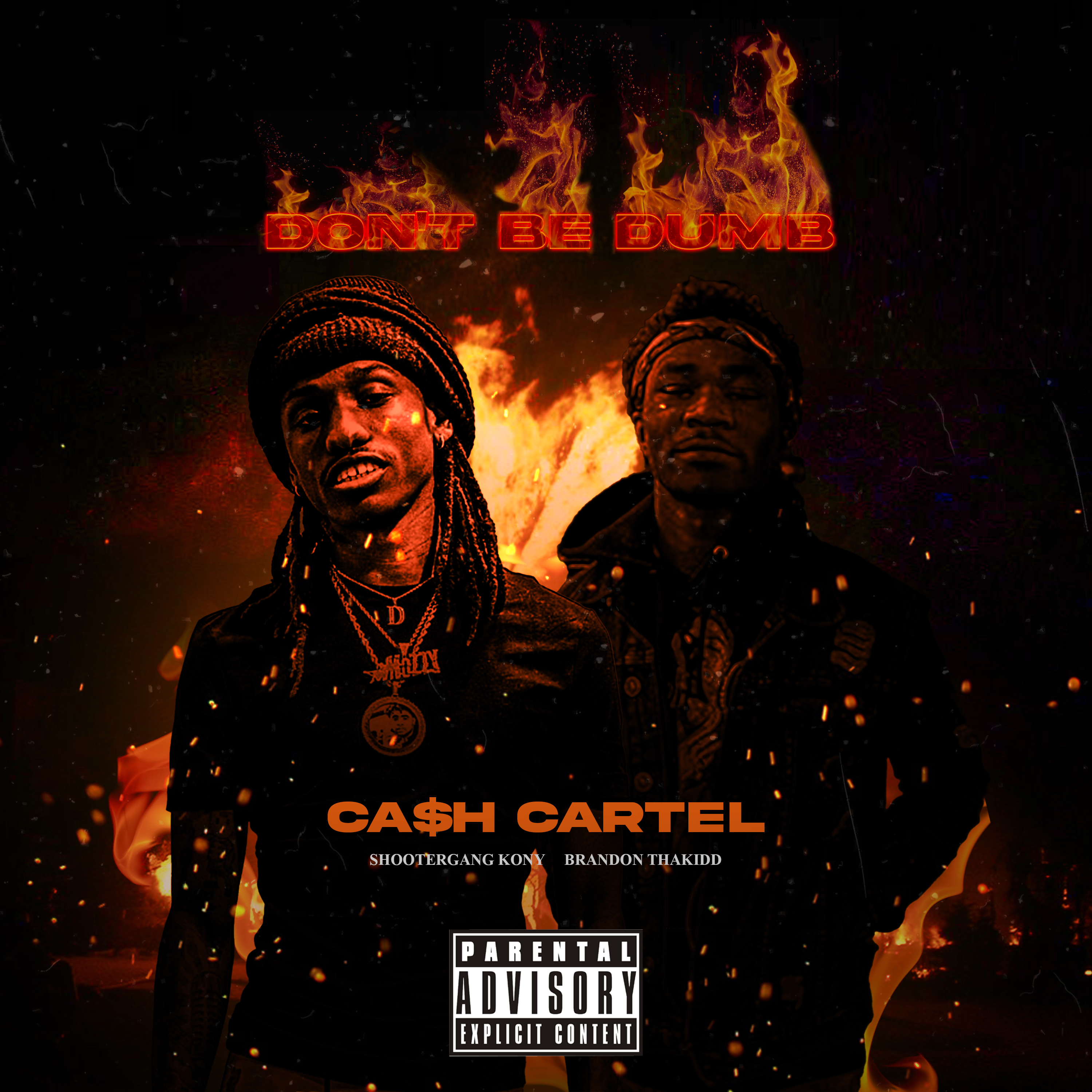 Don't Be Dumb artwork