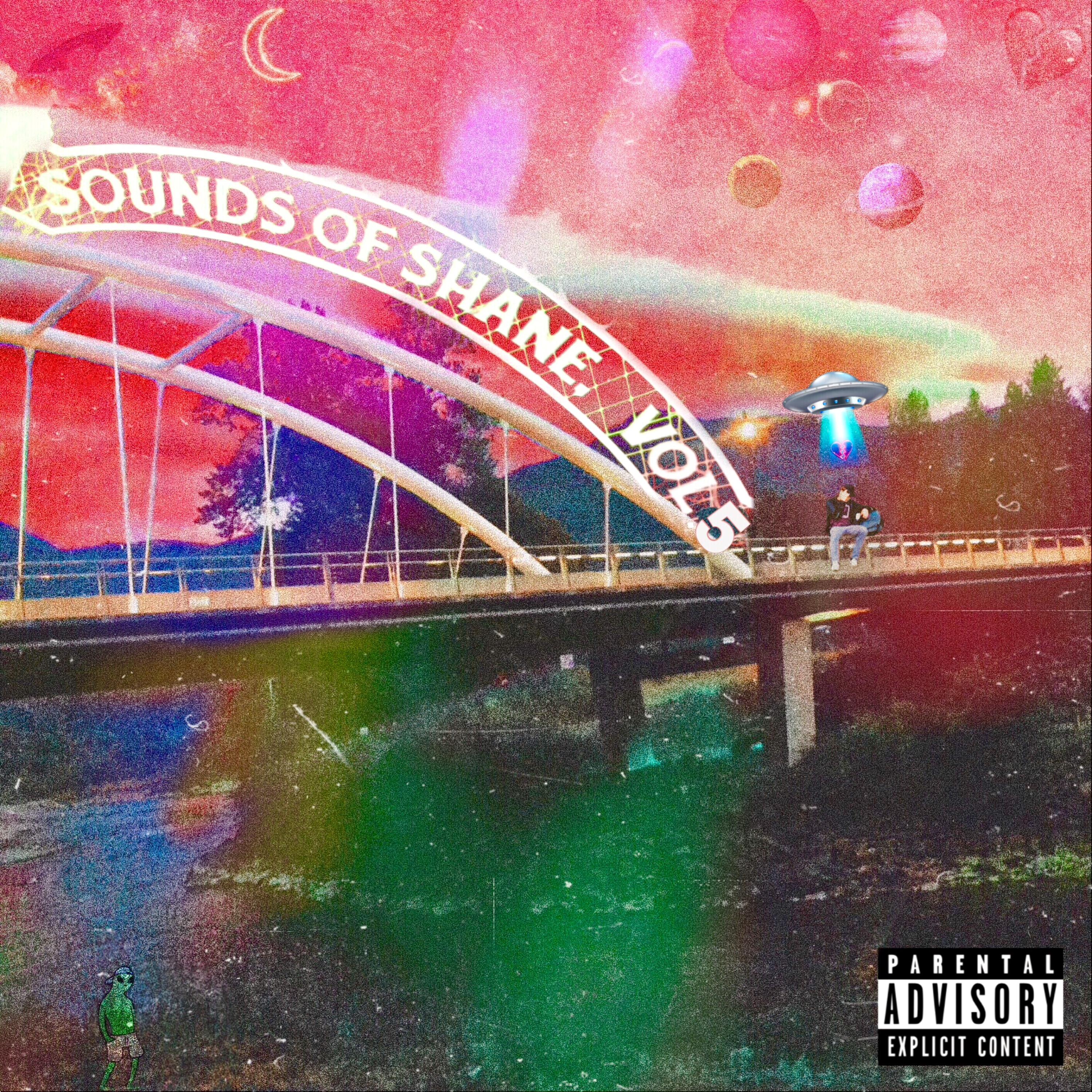 Sounds Of Shane, Vol.5 artwork