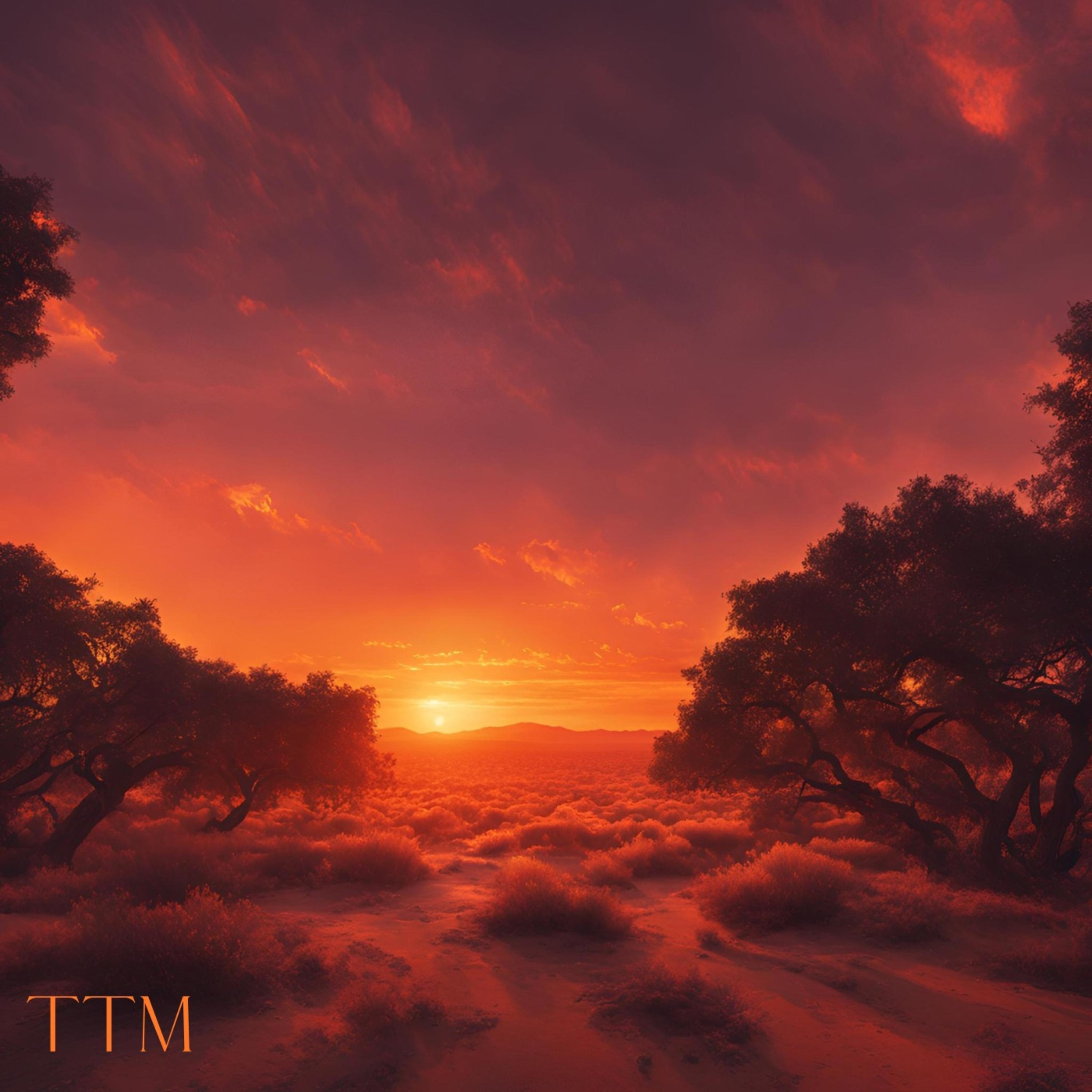 TTM artwork