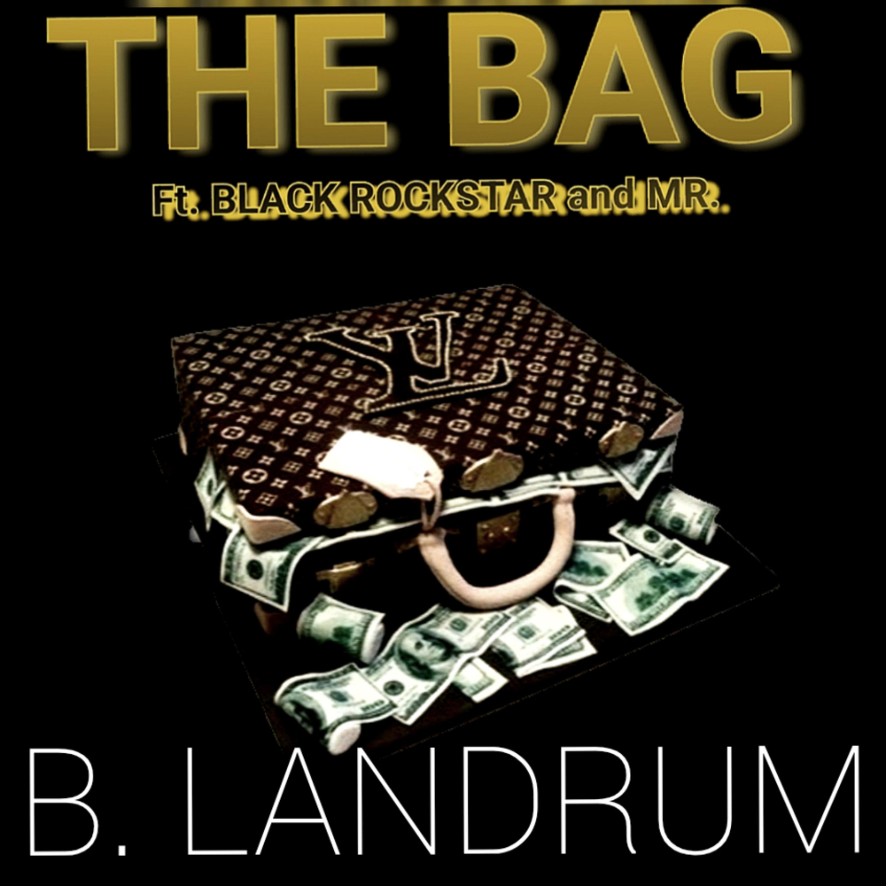 The Bag  by B. Landrum cover art