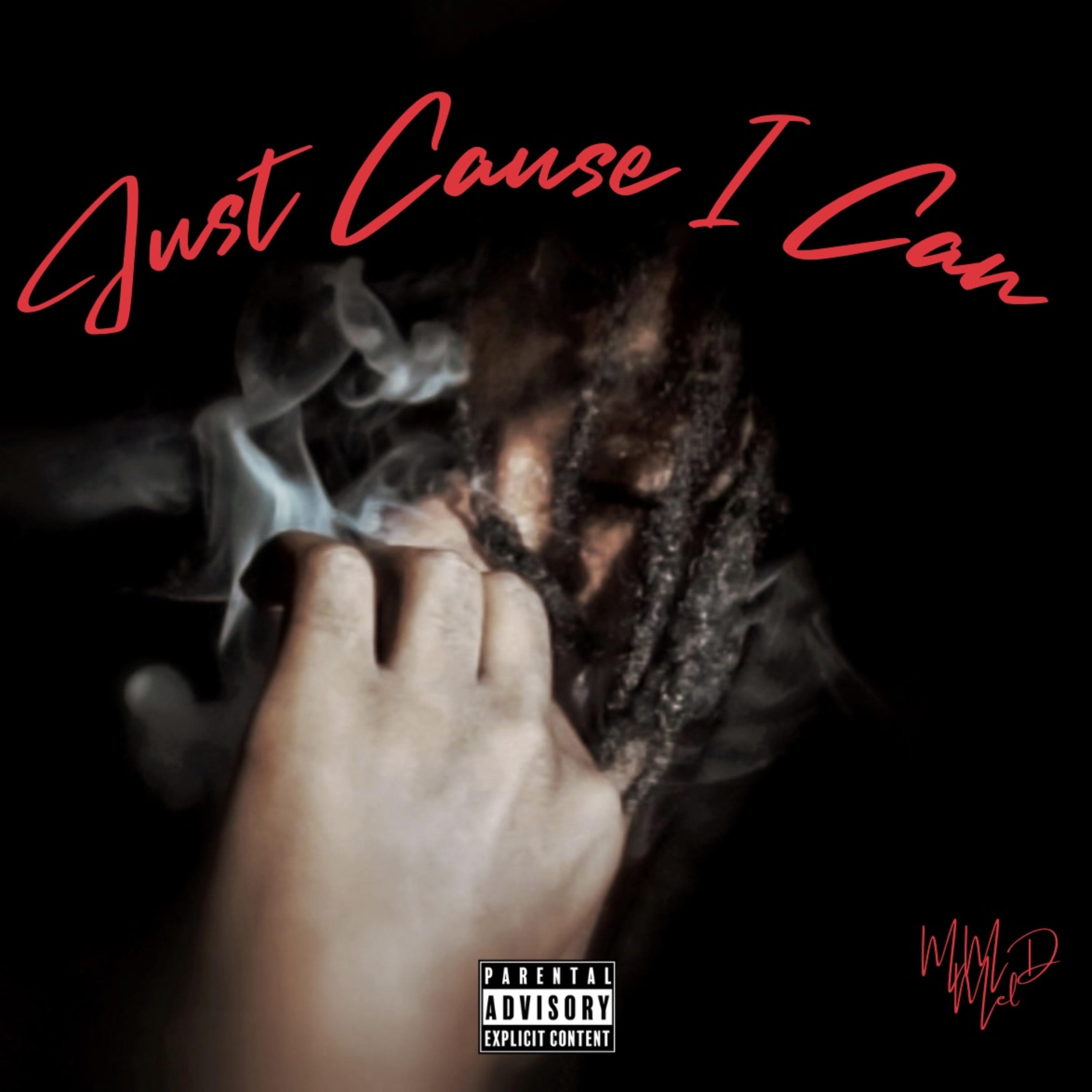Just Cause I Can artwork