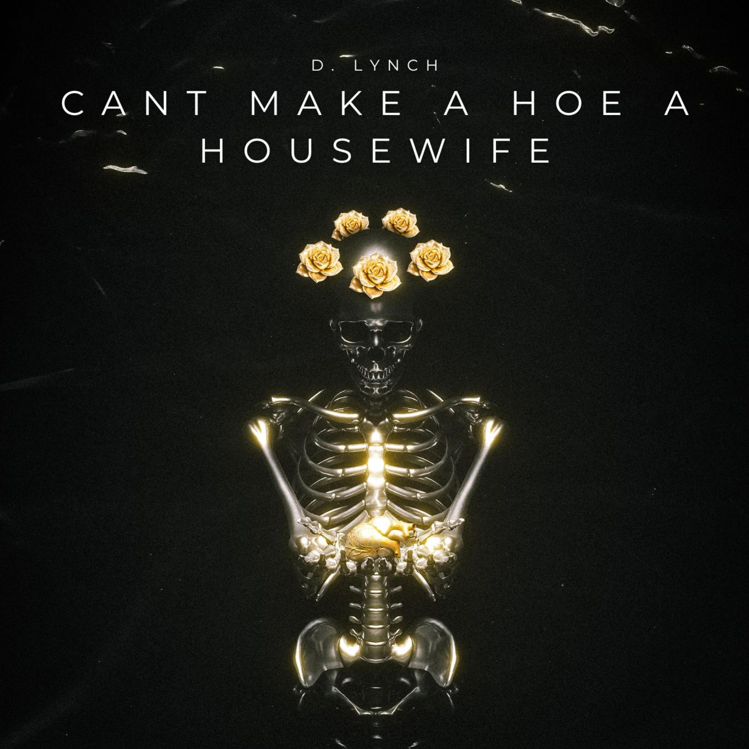 Cant Make A Hoe A Housewife artwork