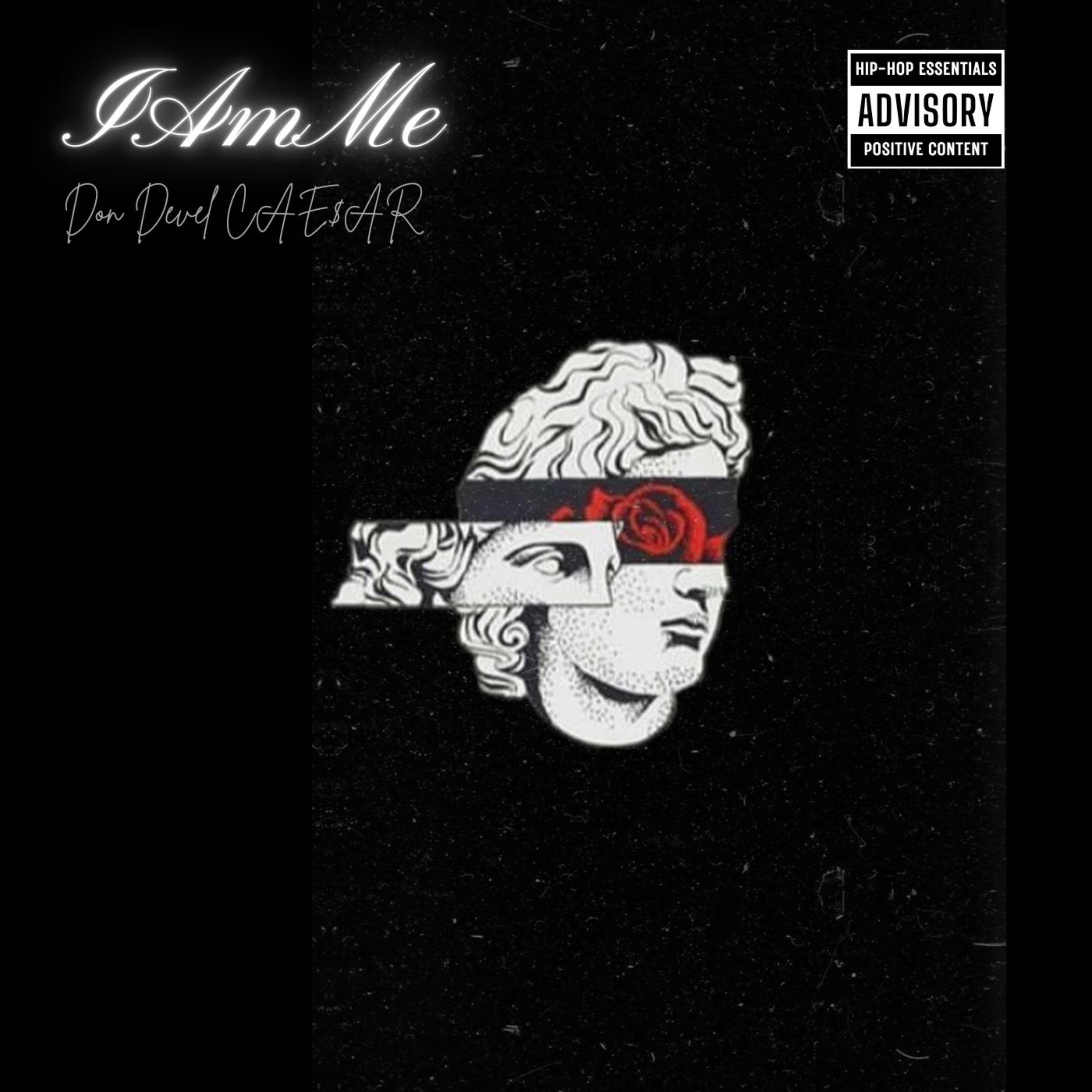 IAMME artwork