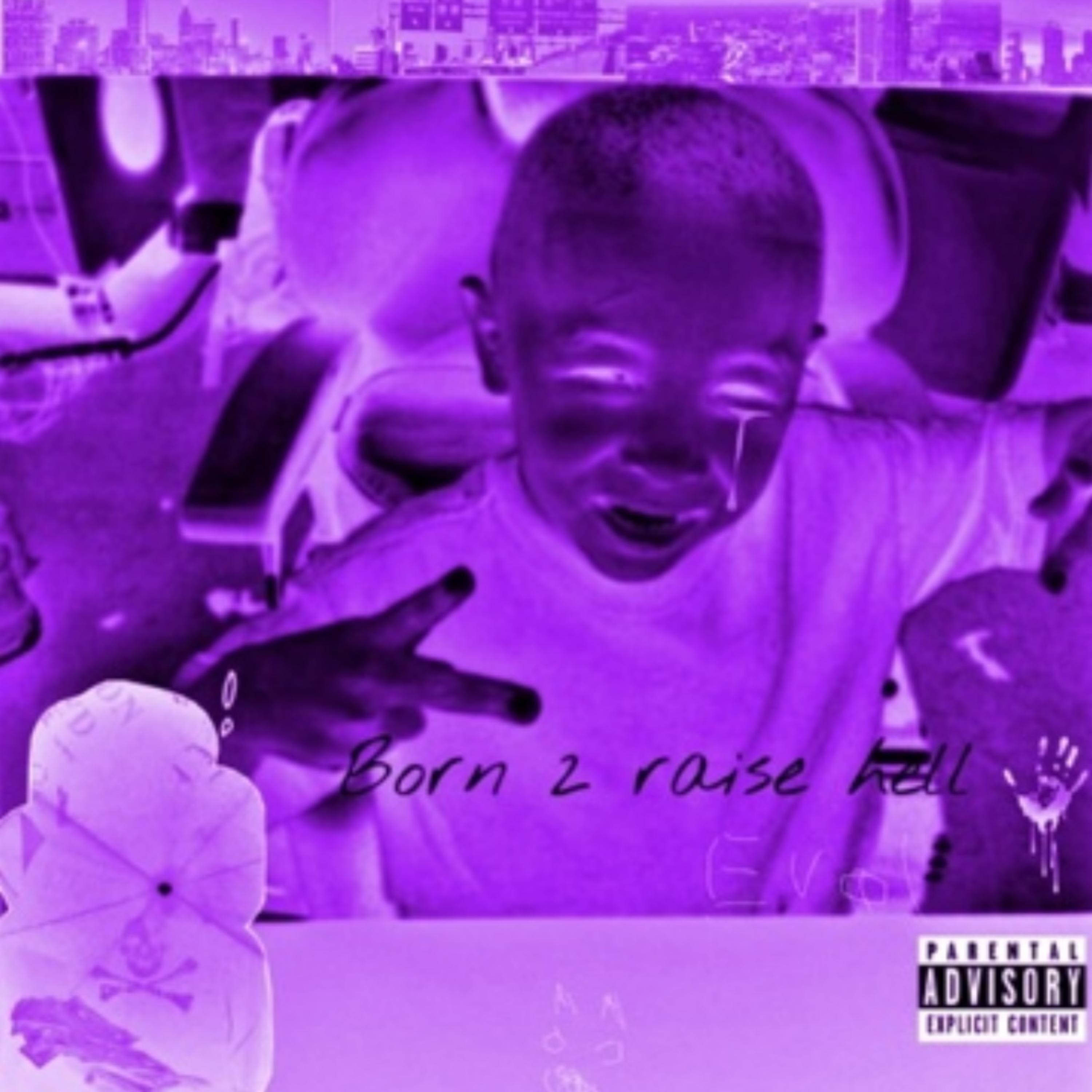 Born 2 Raise Hell artwork