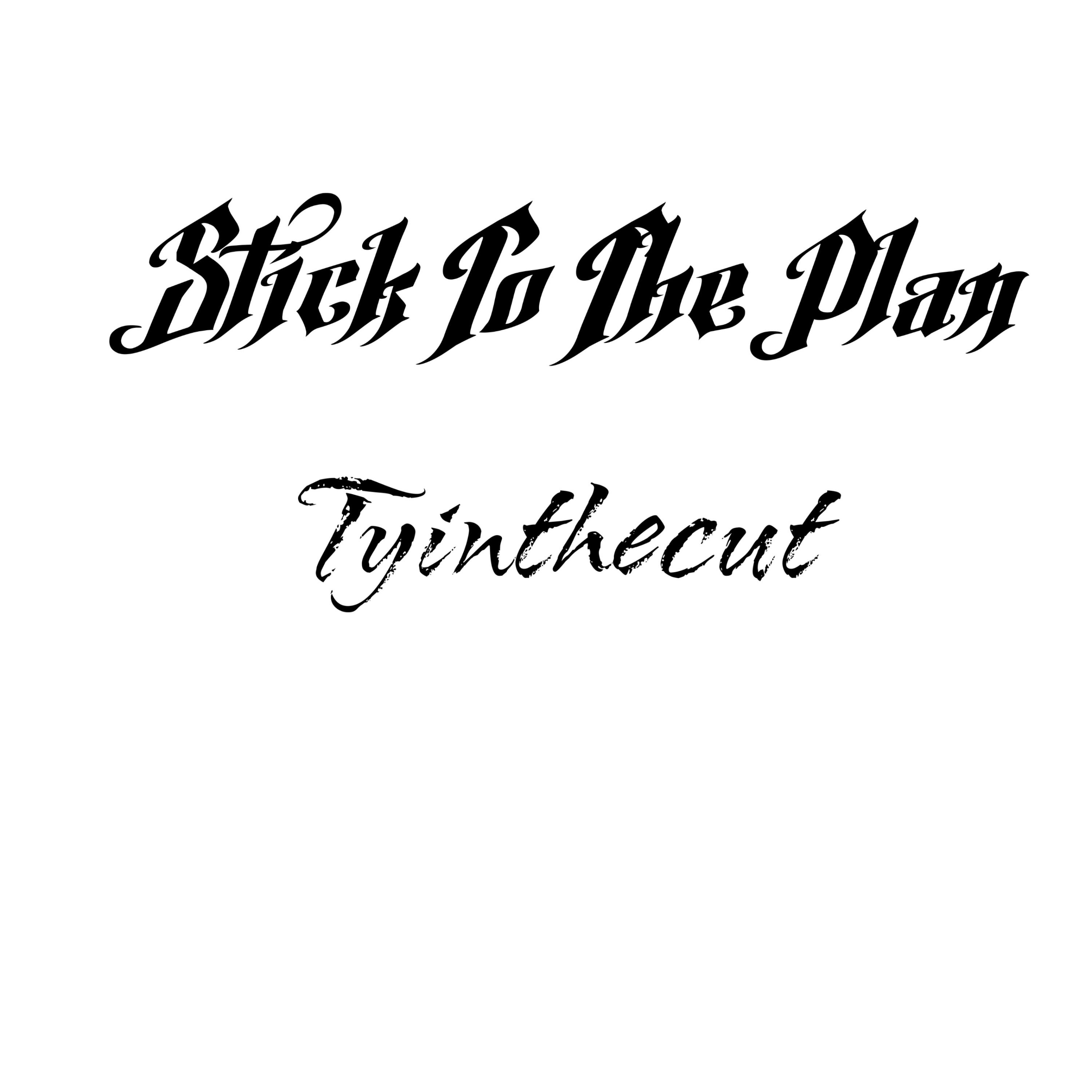 Stick To The Plan artwork
