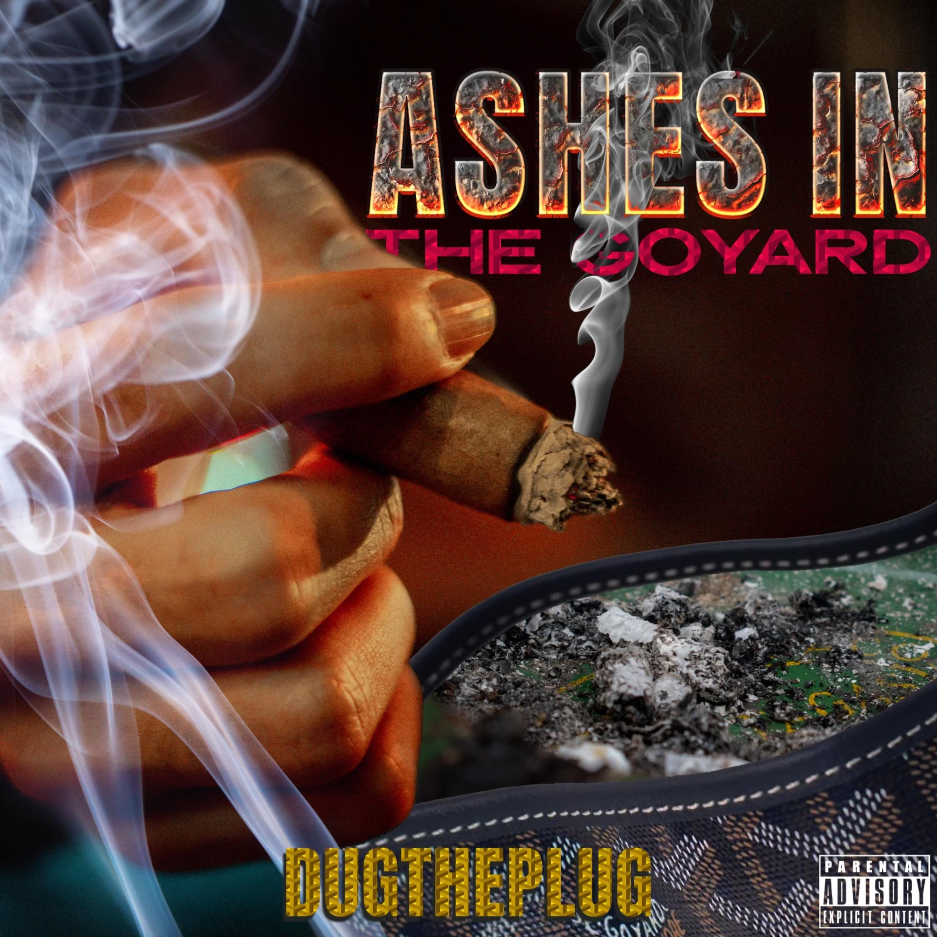 ASHES IN THE GOYARD artwork
