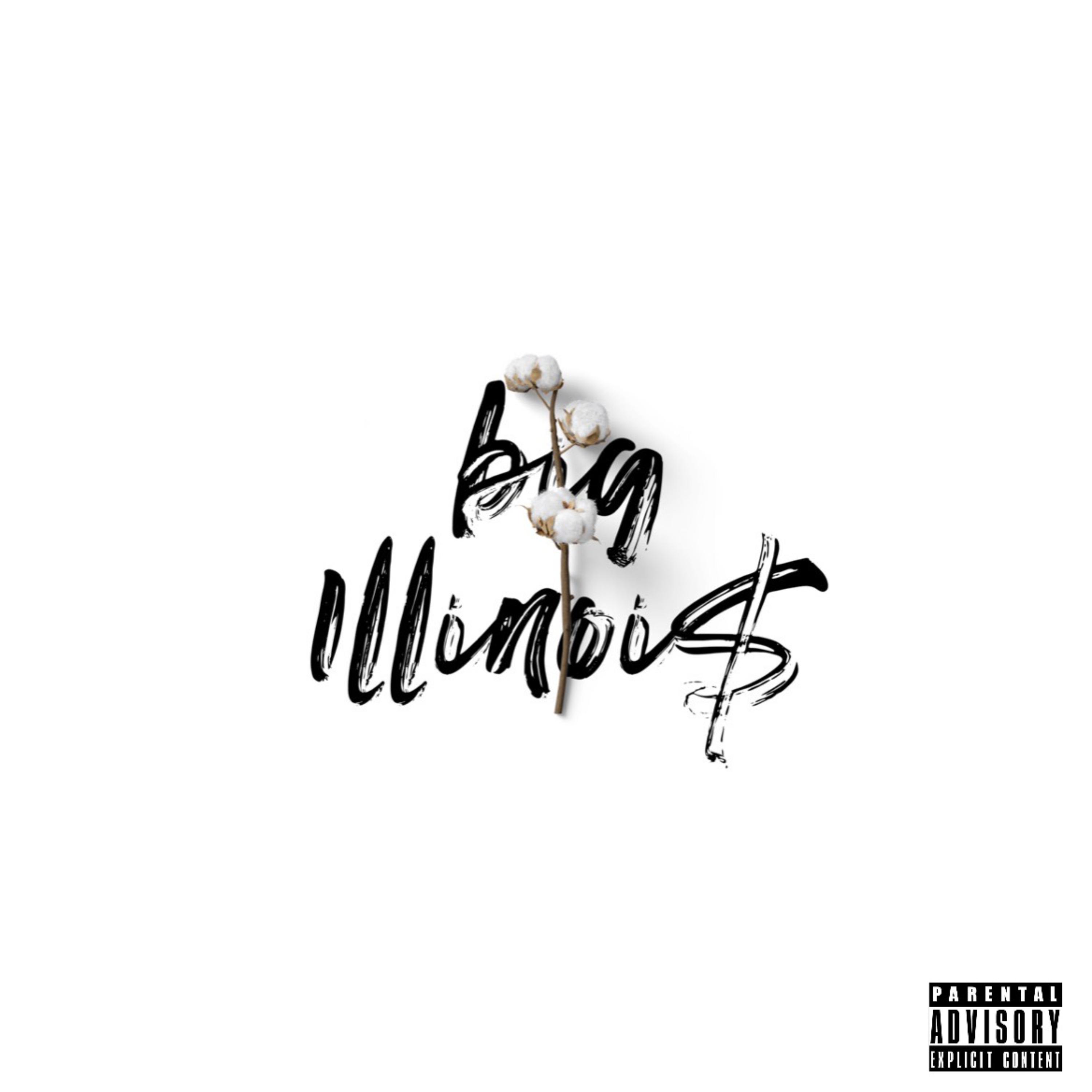 Big Illinoi$ artwork