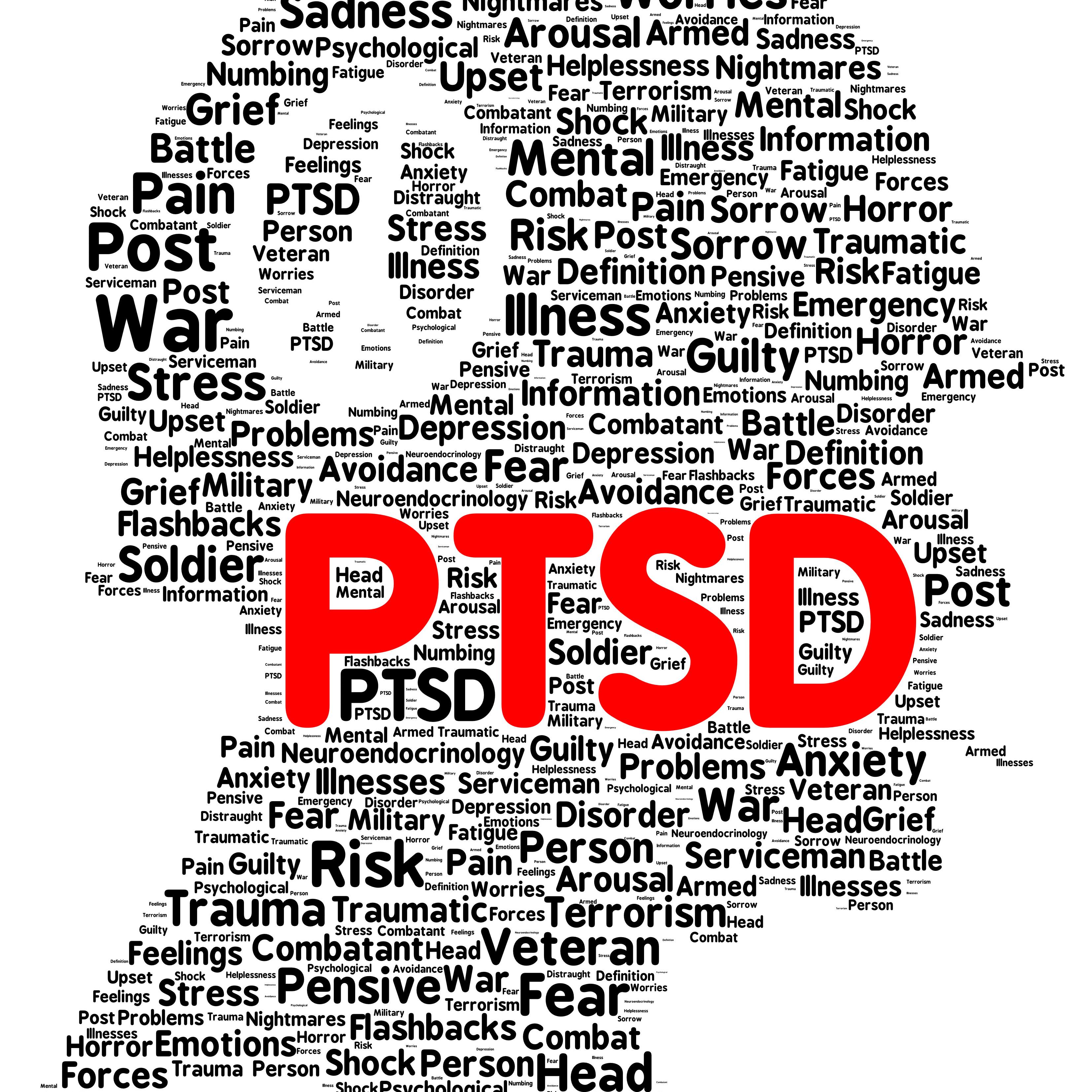 PTSD by C3skiii cover art