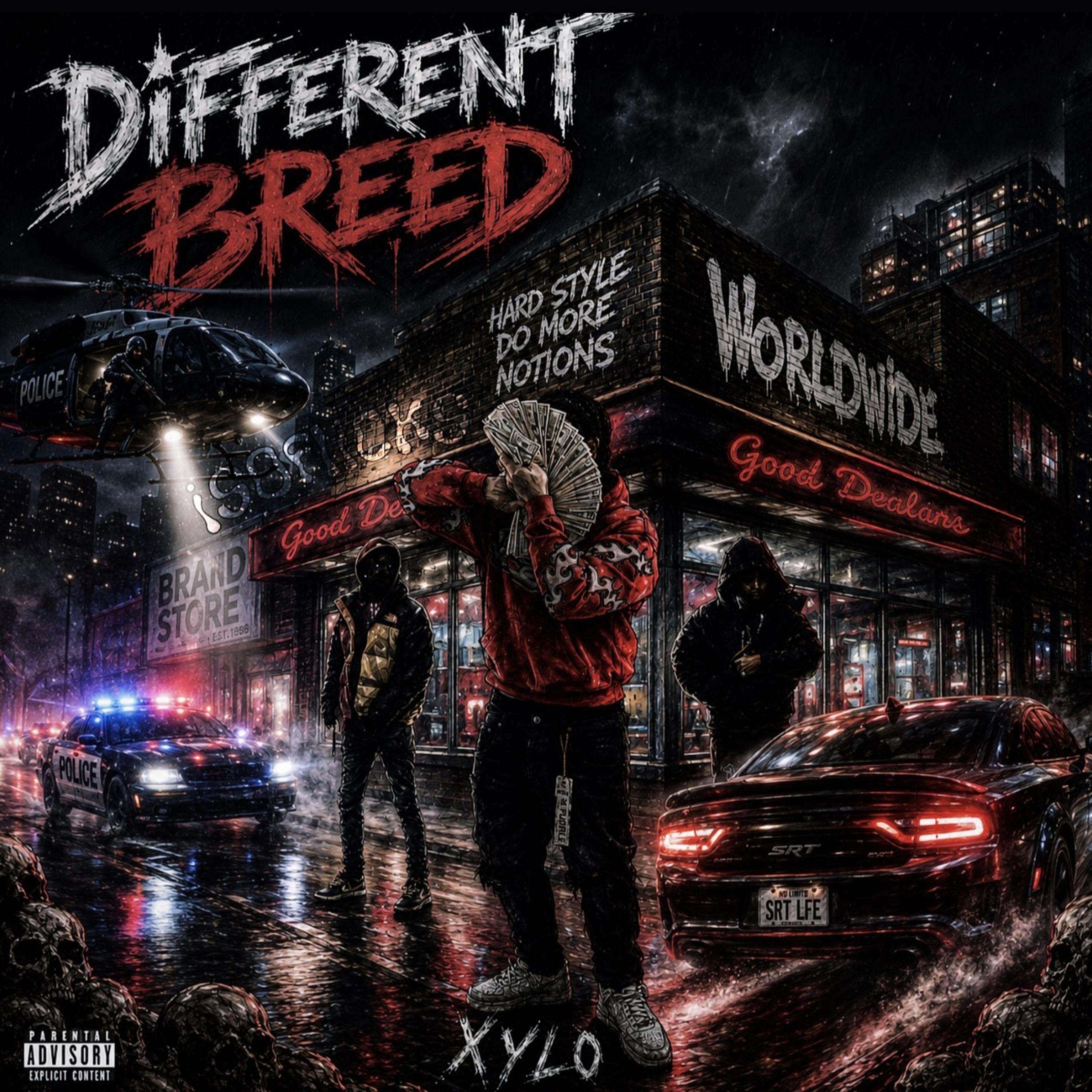 50 Rounds by XyloG cover art