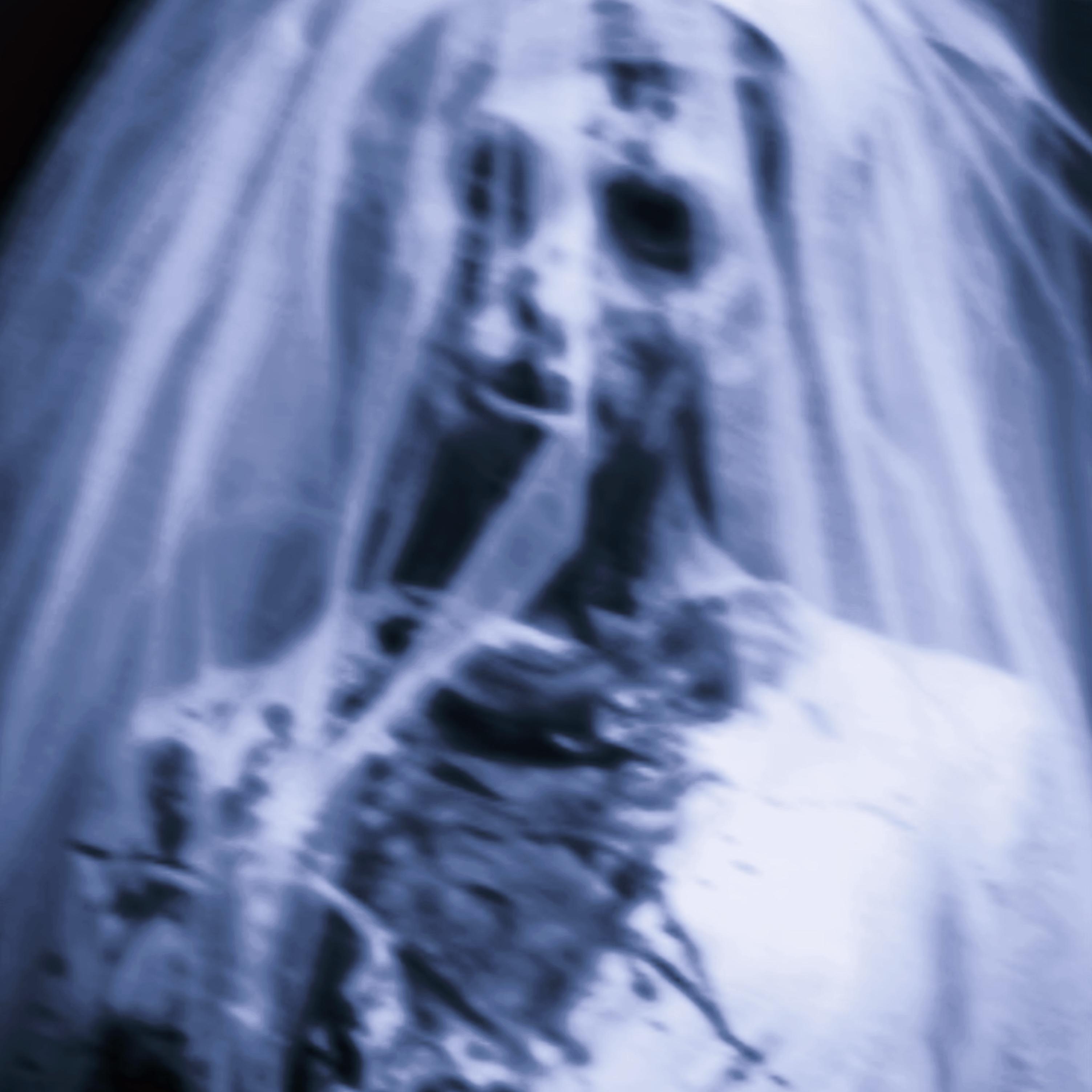LÄDŸ ØF THË NÏGHT by Shelovesyves cover art