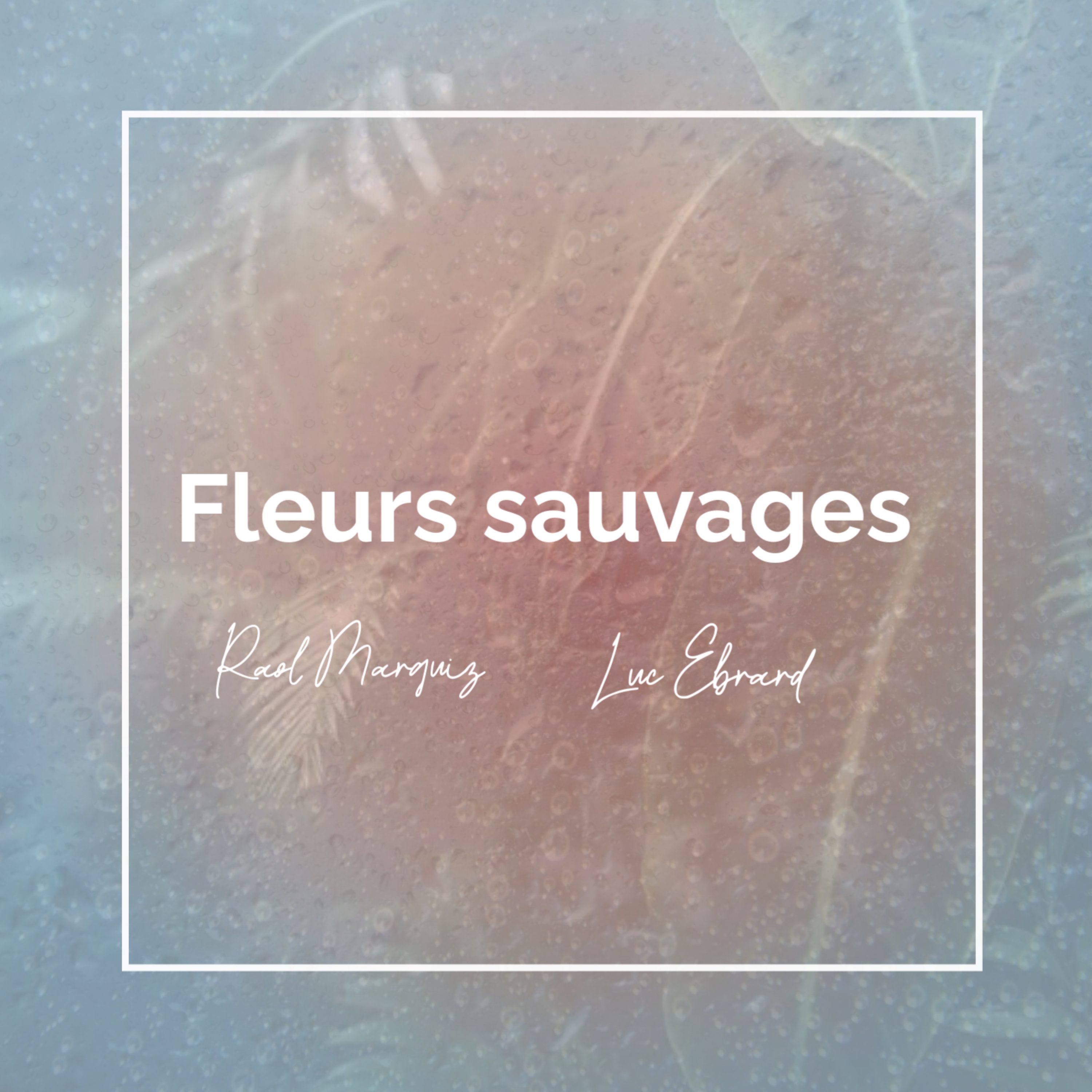 Fleurs sauvages artwork