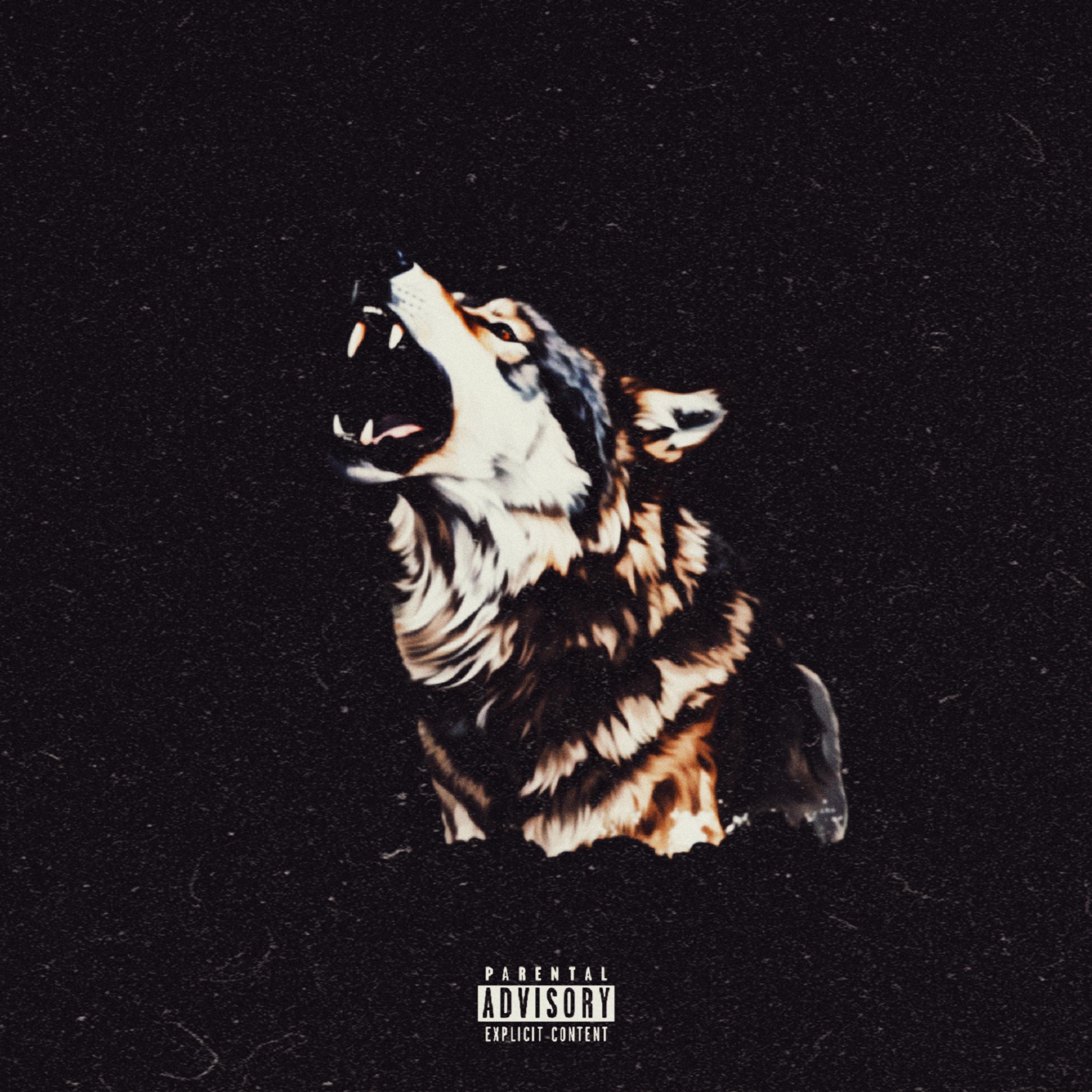 SAVAGE FLOW artwork
