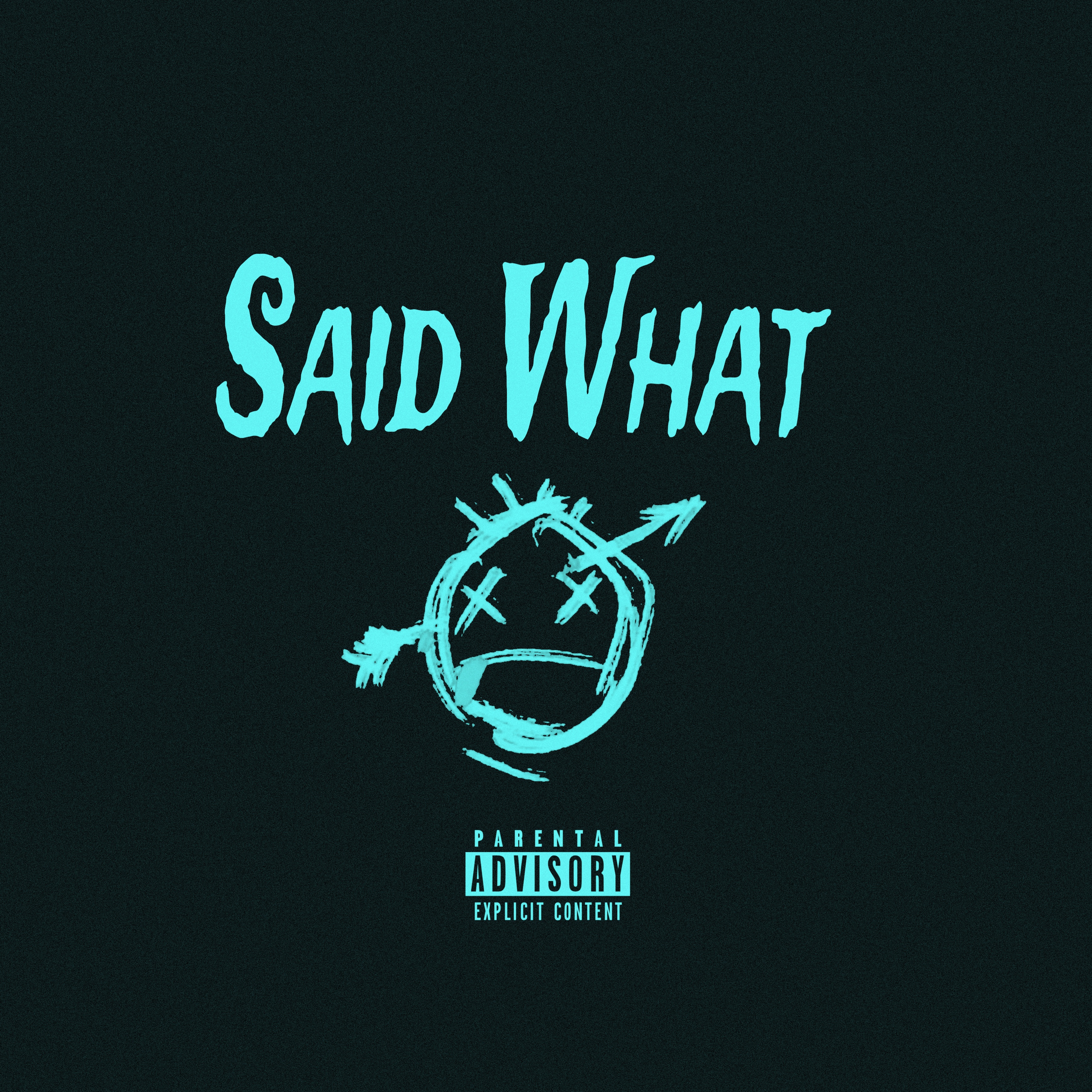 SAID WHAT artwork